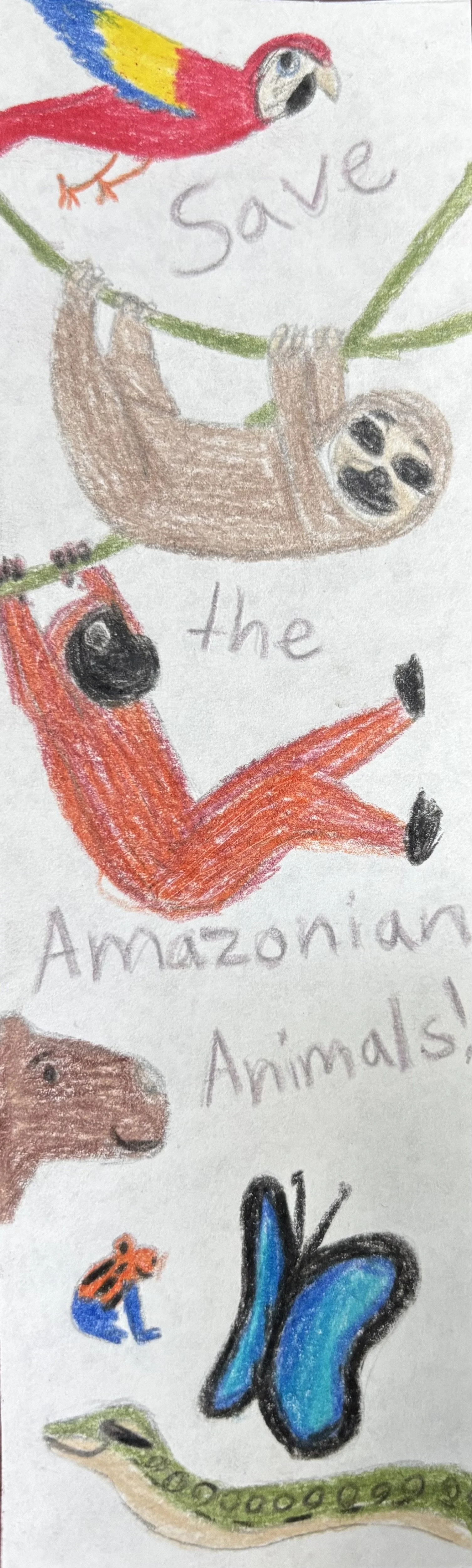 Amazon Bookmark 2