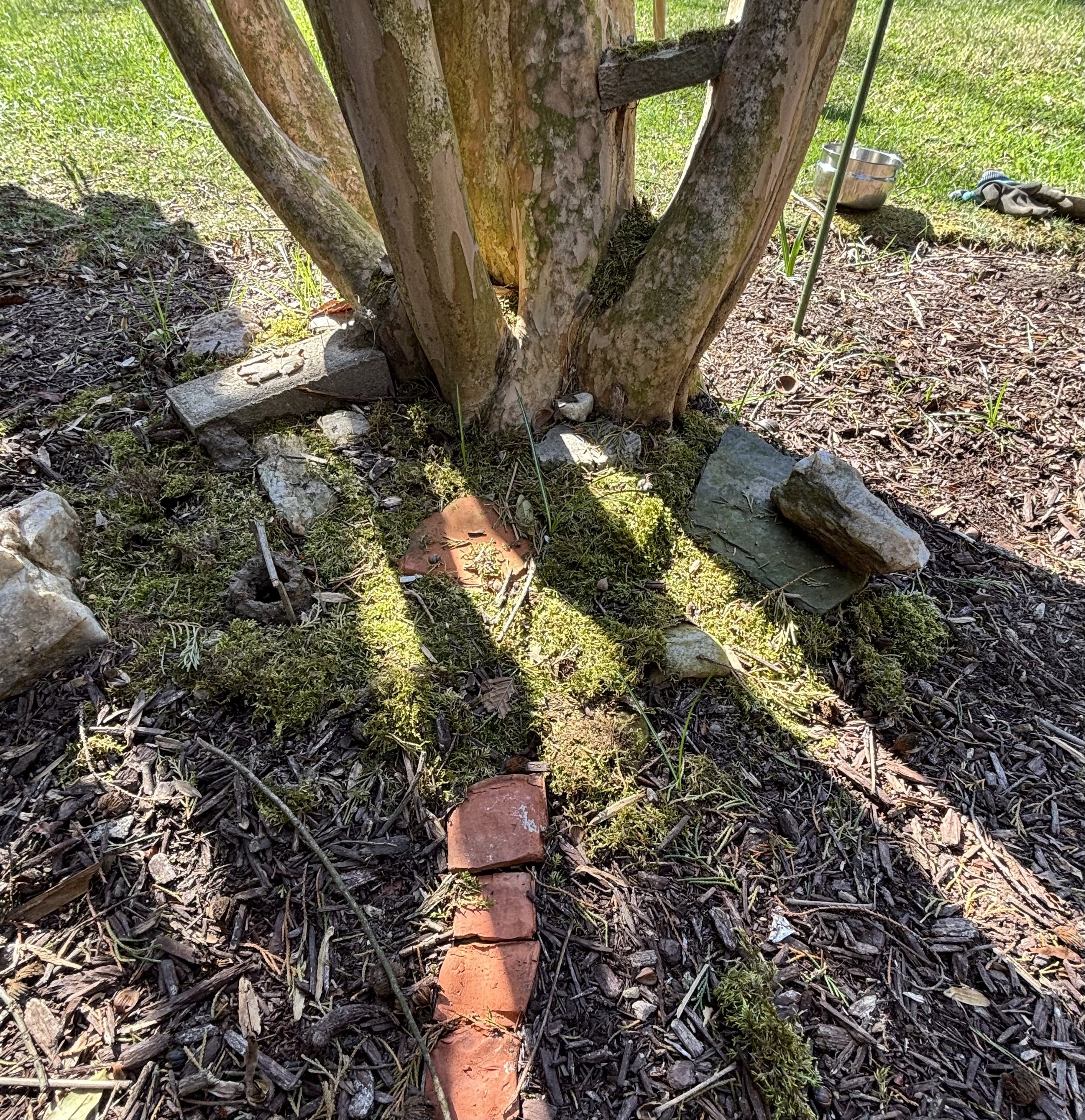 A small brick pathway leading to a tree trunk in an outdoor garden scene that is supposed to be a fairy garden. Surrounding ground covered with mulch, grass, and some small plants.