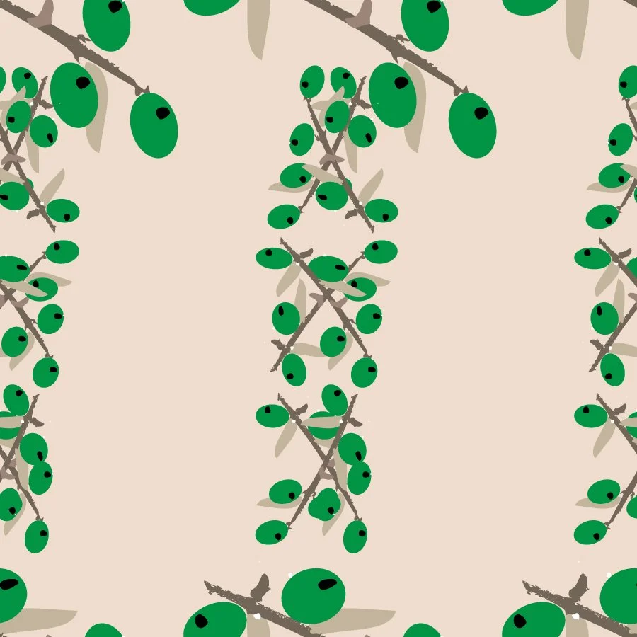 olive vines.jpg