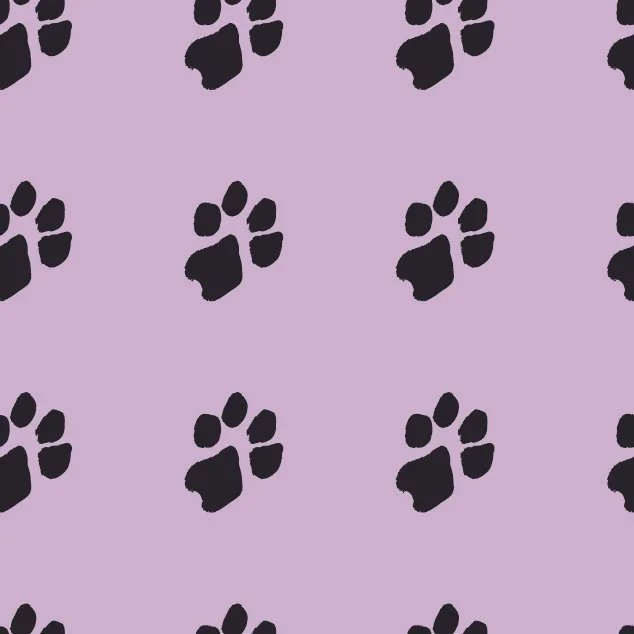 Violet paws.jpg