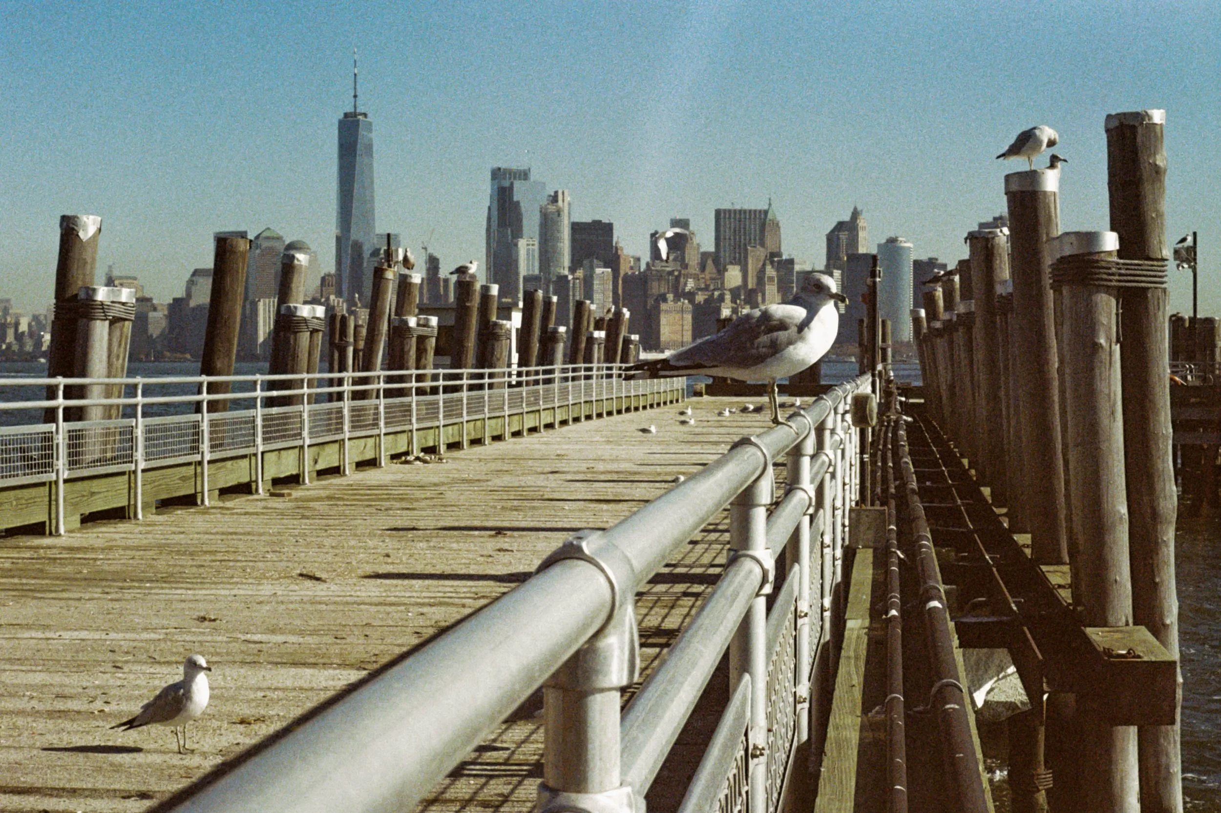 MANHATTAN_2.jpg