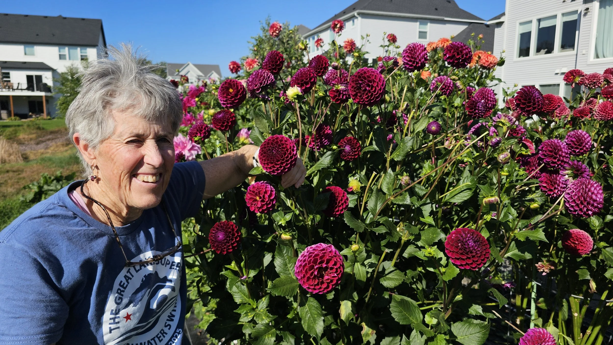 An elderly woman smiling and pointing at a large, vibrant pinkdahlia flower in a garden with white houses in the background on a sunny day.