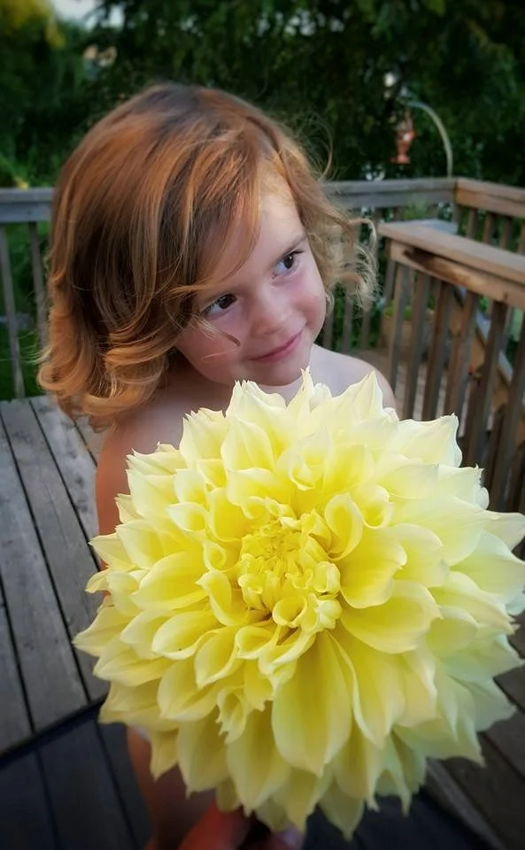 A young girl with curly red hair holding a large yellow flower on a wooden deck.