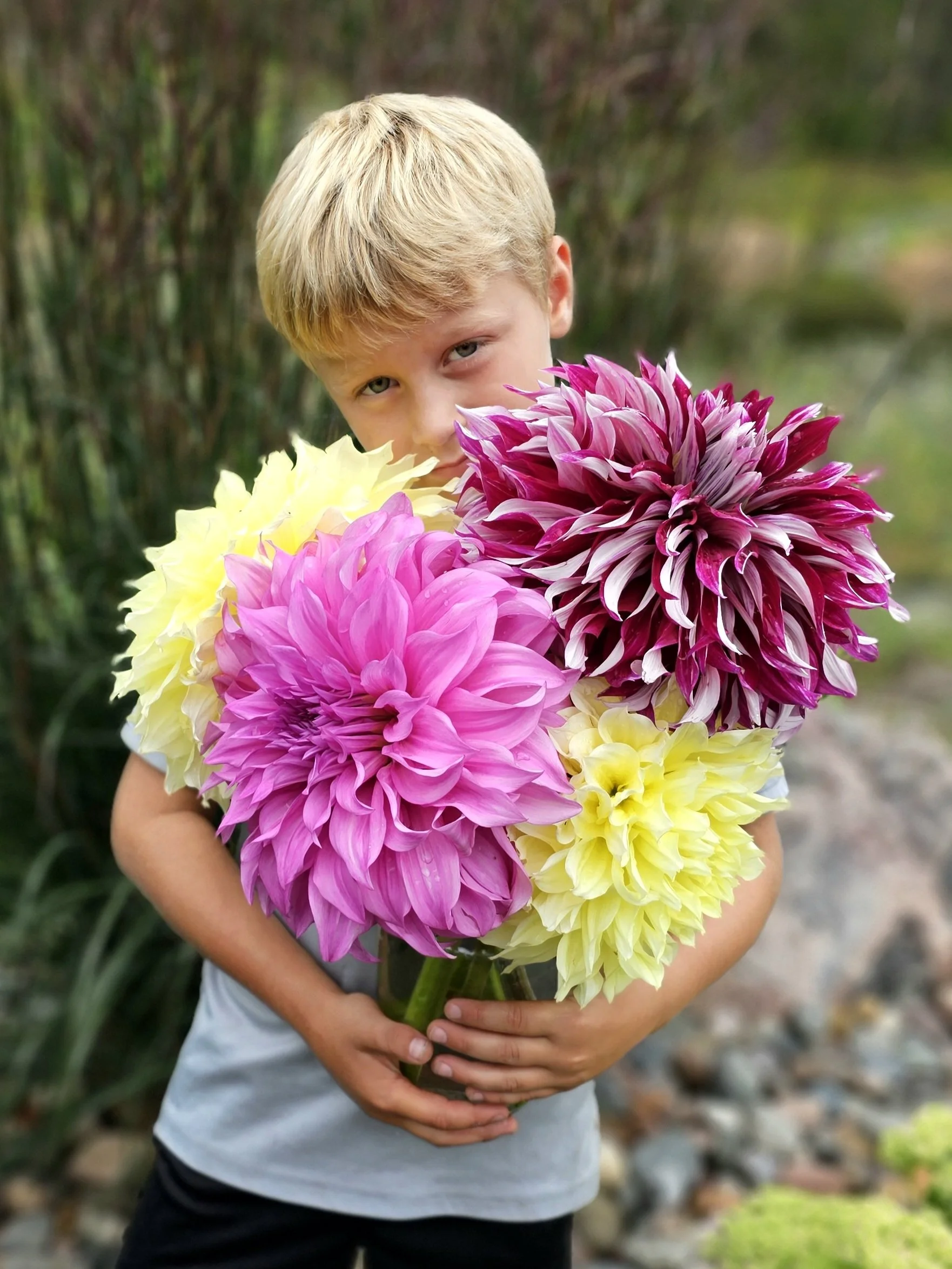 A child holding a large bouquet of colorful dahlias, partially covering their face, outdoors with greenery in the background.
