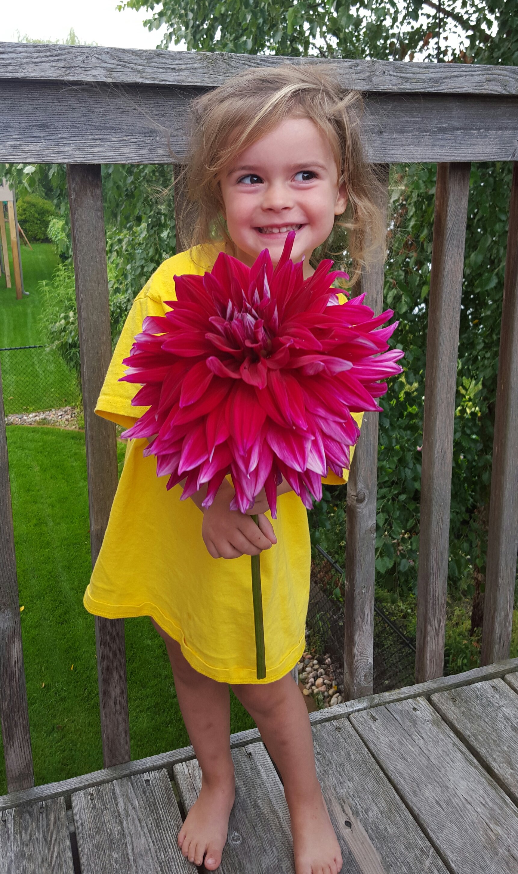 A young girl in a yellow dress standing on a wooden deck, holding a large pink flower, outdoors with green trees and a grassy yard in the background.