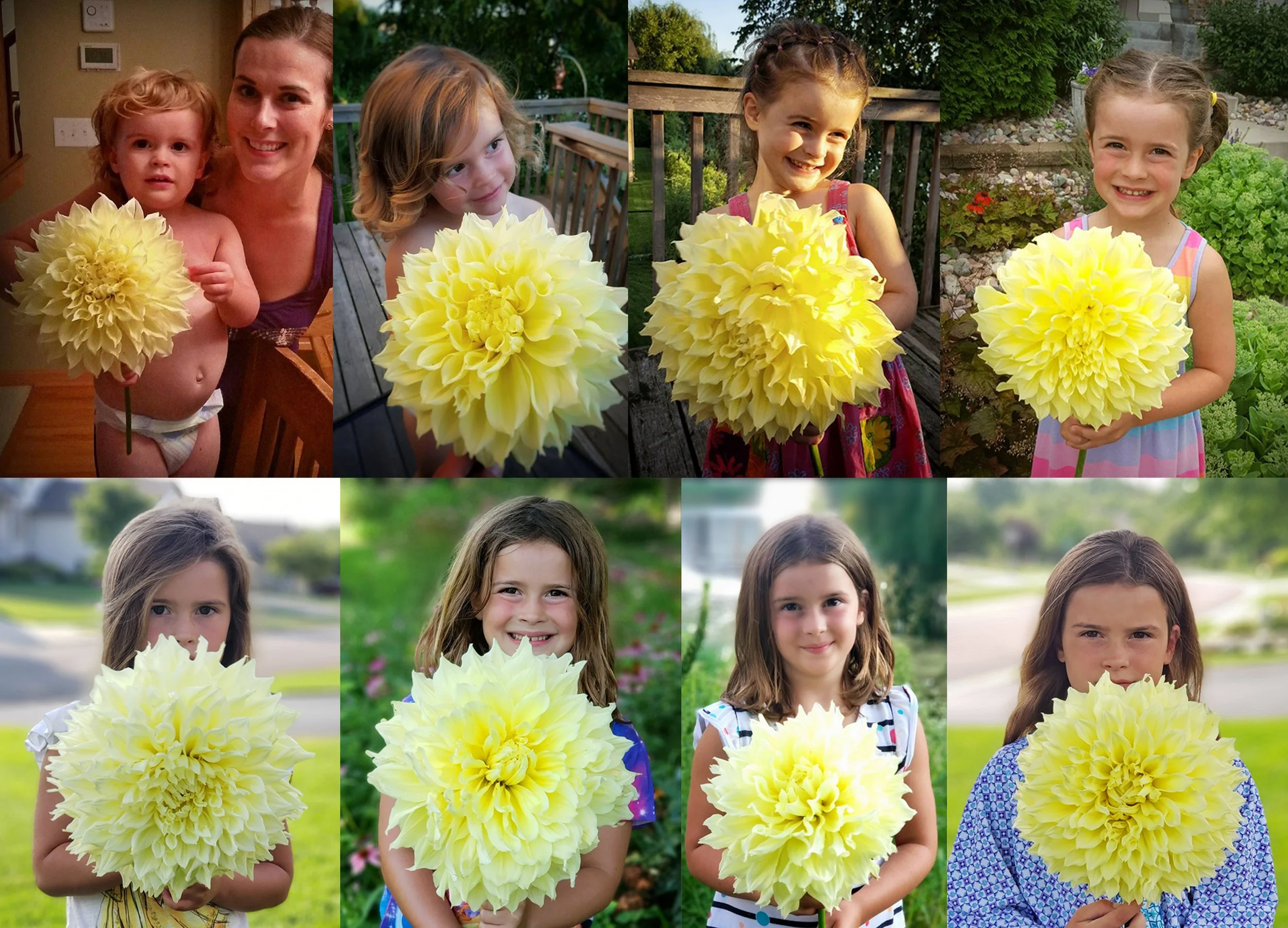 A collage of children holding yellow flowers, with some children outdoors in a garden and one child indoors.