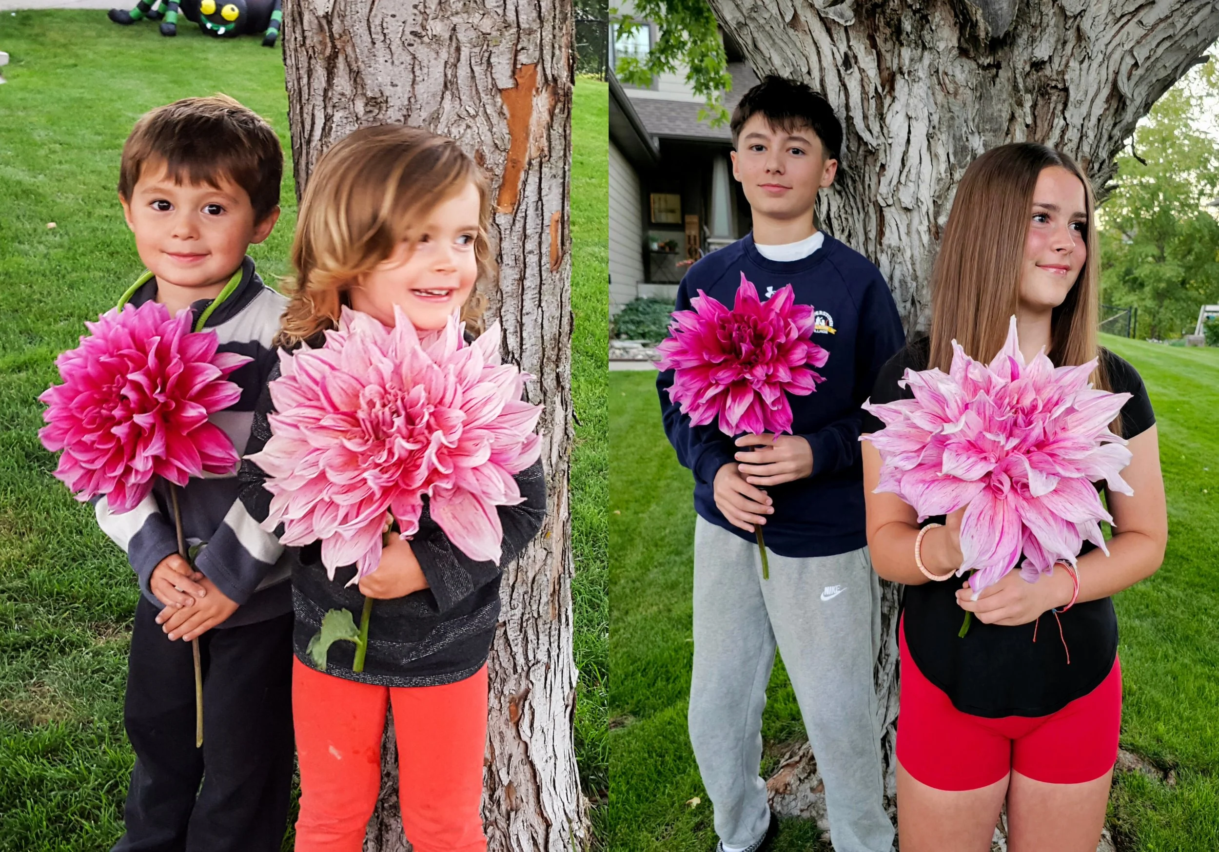 Four children standing outdoors behind a tree, holding pink and purple flowers. The children are smiling and dressed casually, with two boys and two girls. Trees and a grassy yard are visible in the background.