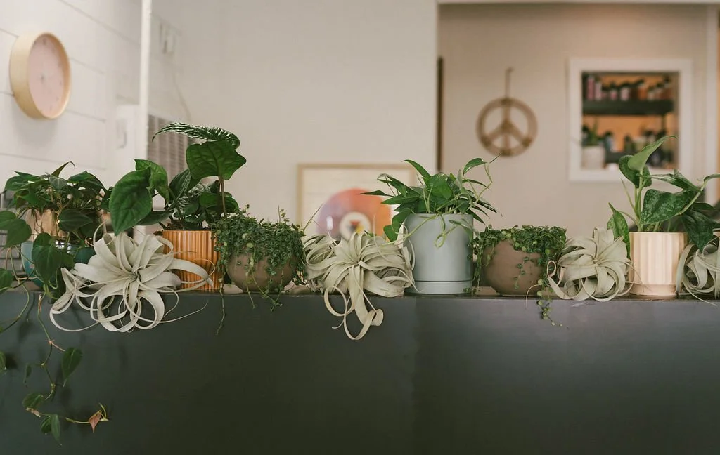 DetailsHD-30.jpg