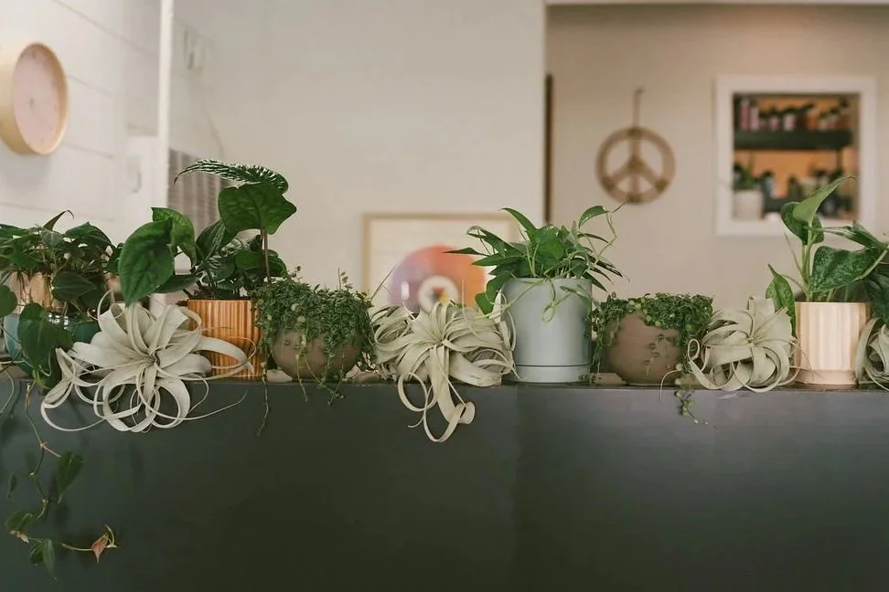 DetailsHD-30.jpg