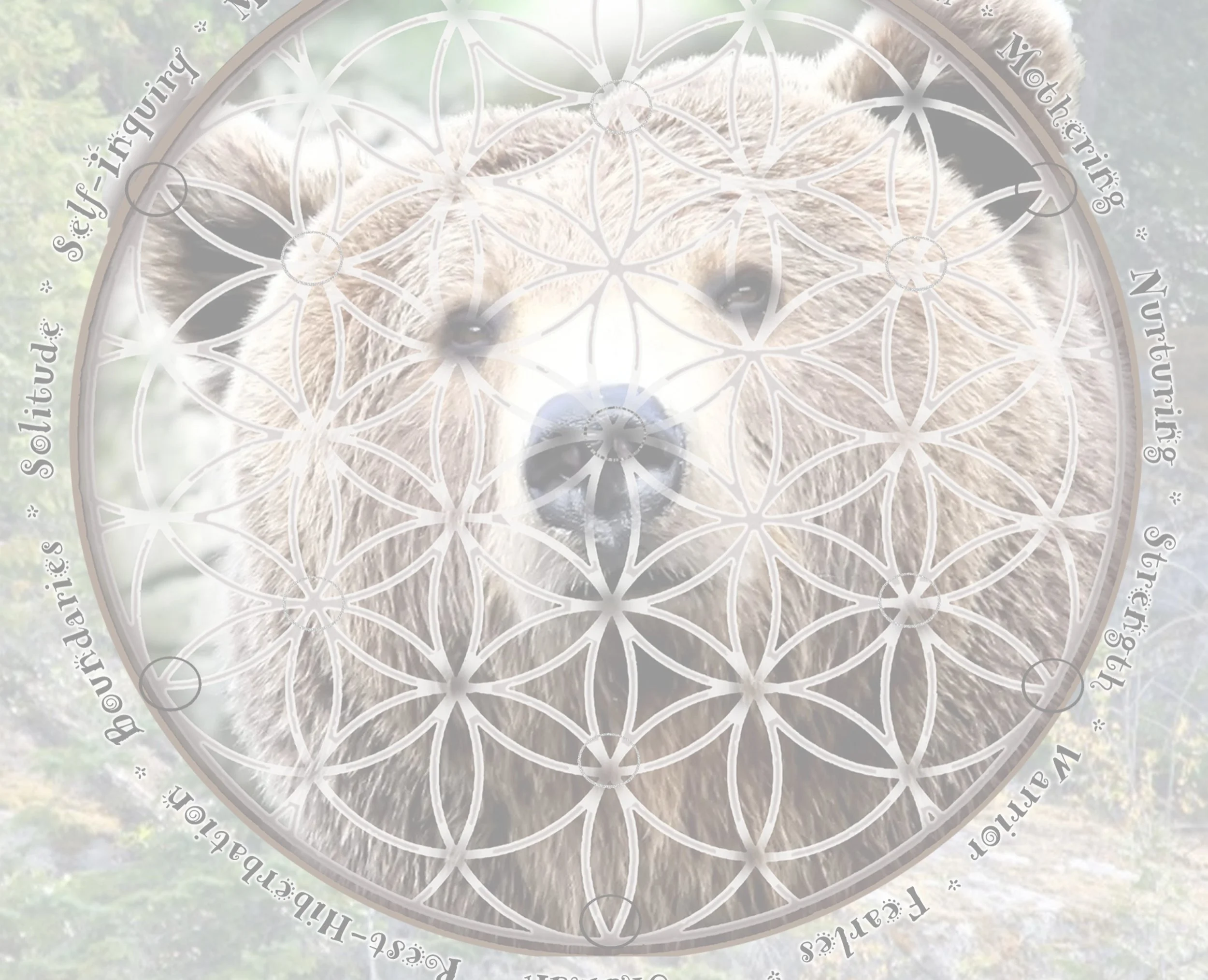 Sacred  Totem Power  Animals
