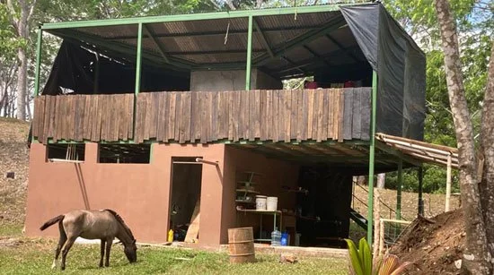 Horse-Ecovillage.jpg