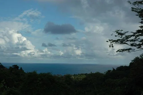 Lot4Pa7.jpg