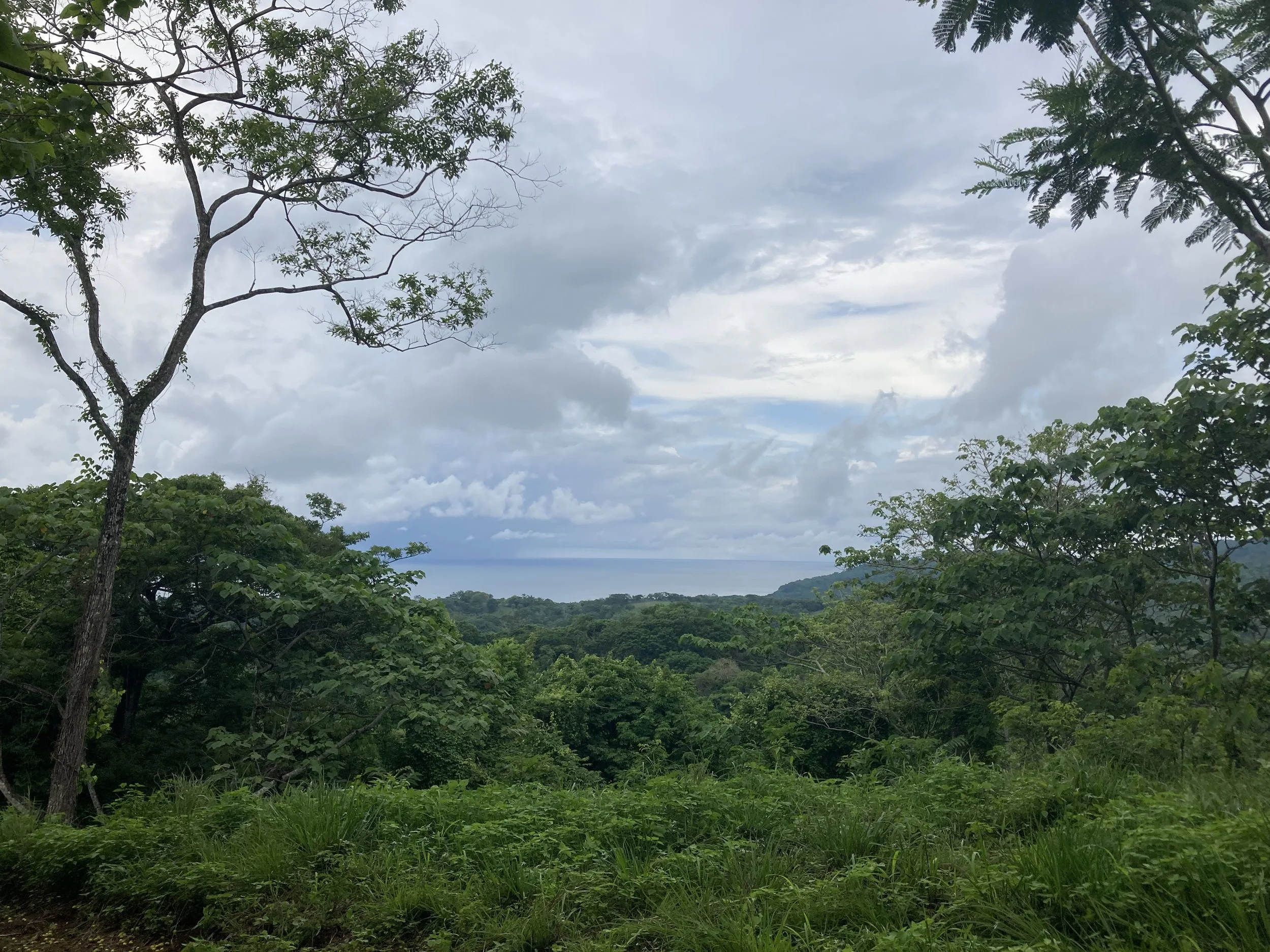 Ocean Side view.jpg