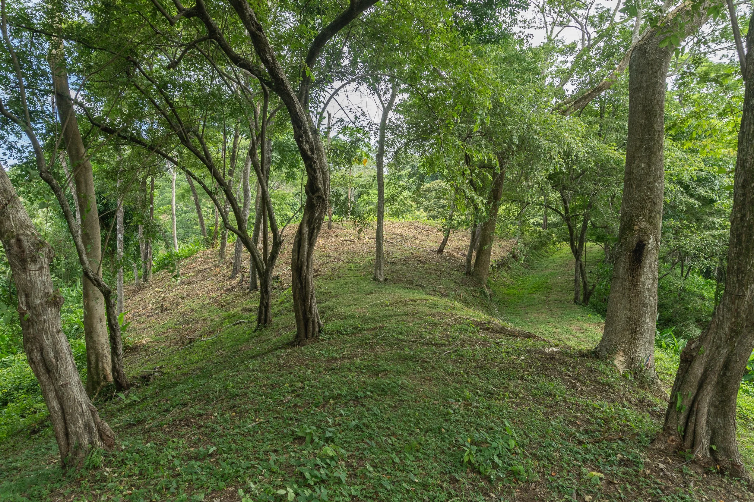 Finca Ago 2026-05985.jpg