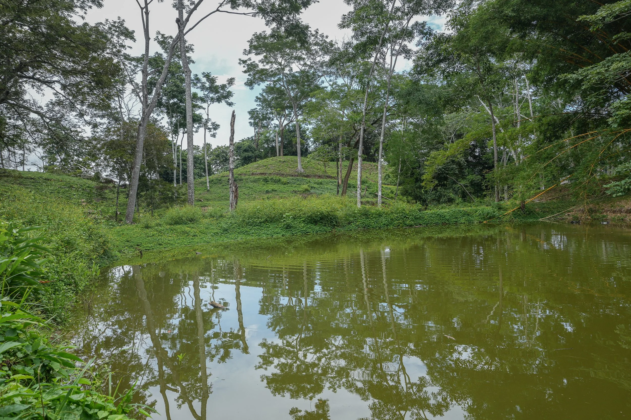 Finca Ago 2026-05996.jpg