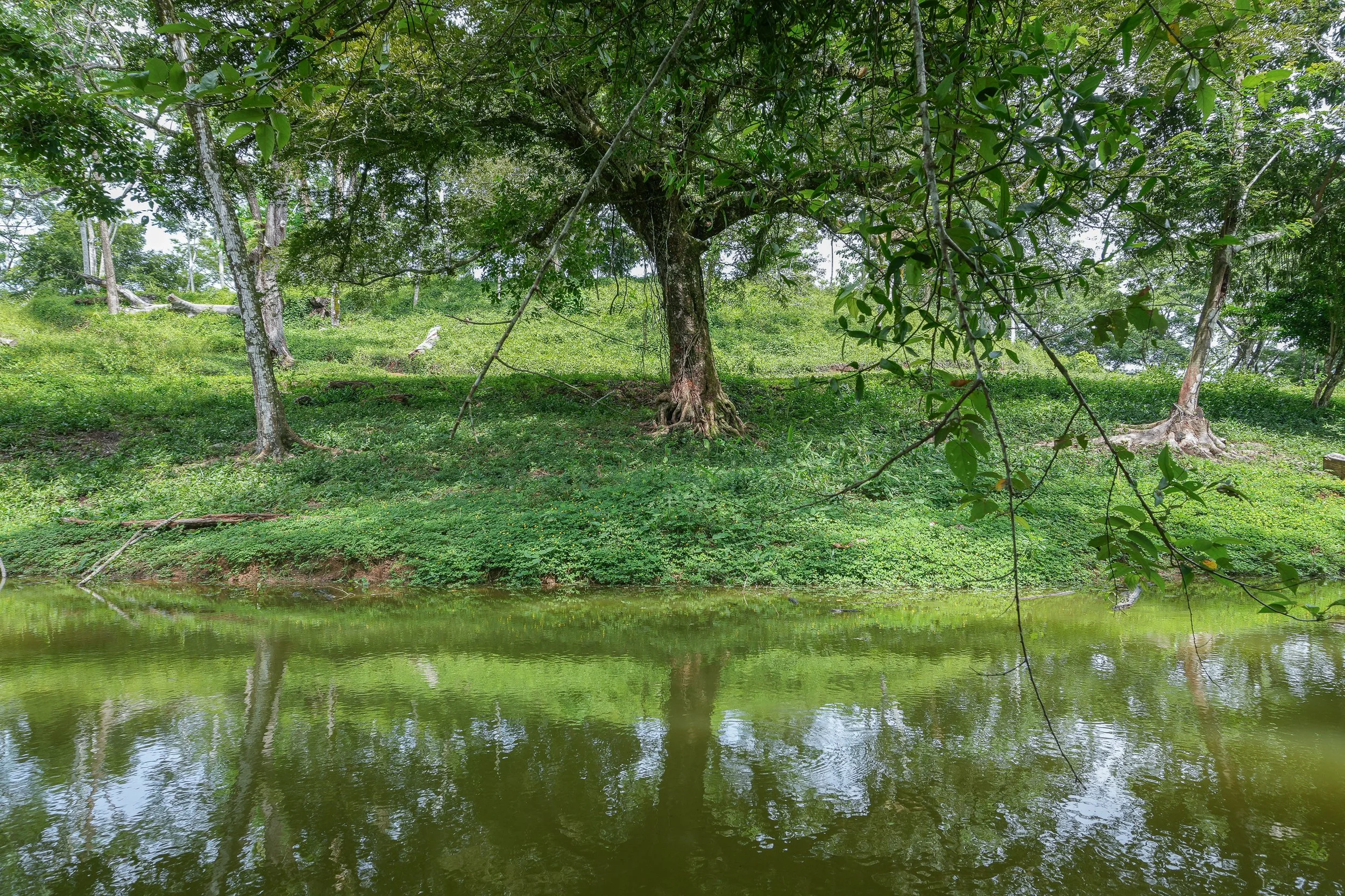 Finca Ago 2026-05999.jpg