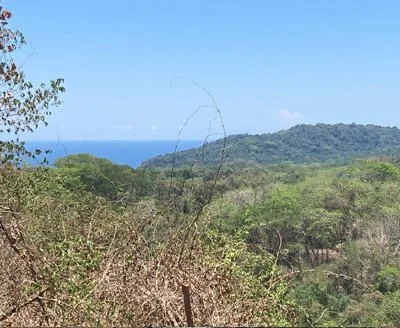 Vista-home.jpg