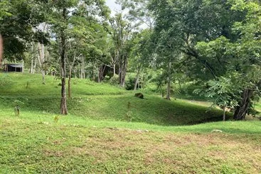 Land-5.jpg