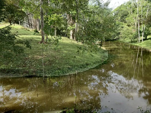 Costa-Rica-pond.jpg