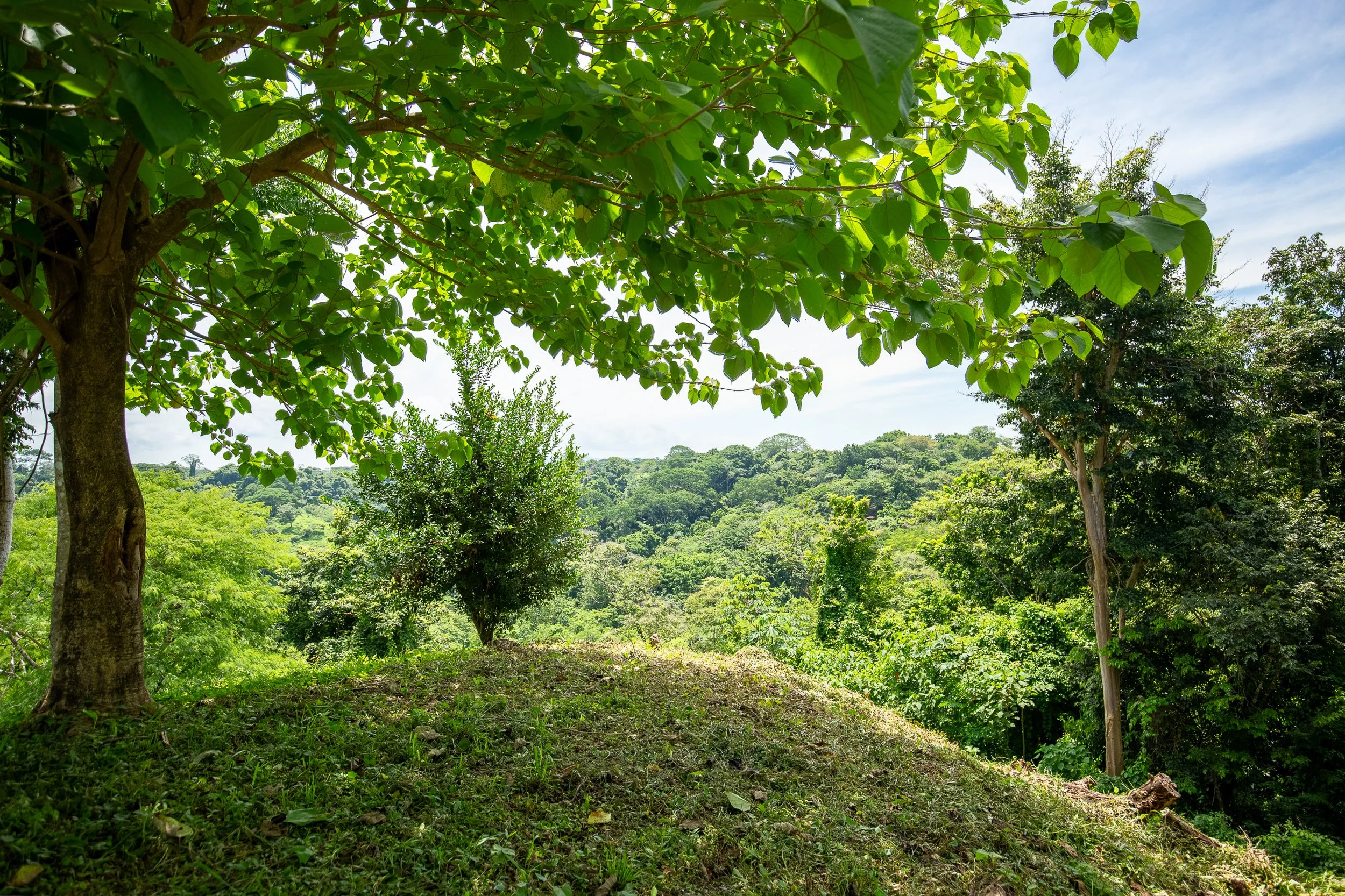 Comunidad 2025--22.jpg