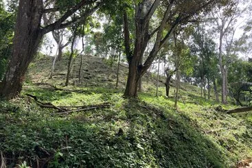 Land-14.jpg