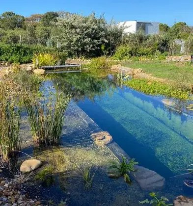“NATURAL POOL: Designing and Constructing”