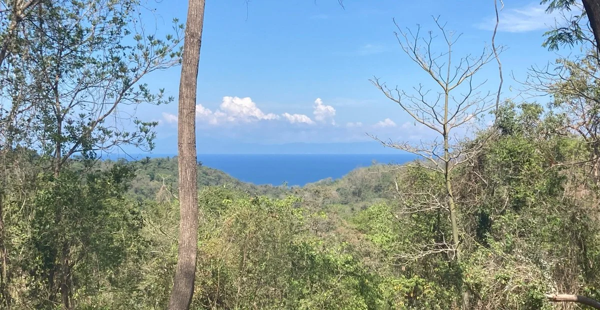 Costa-Rica-land-offerings.jpg
