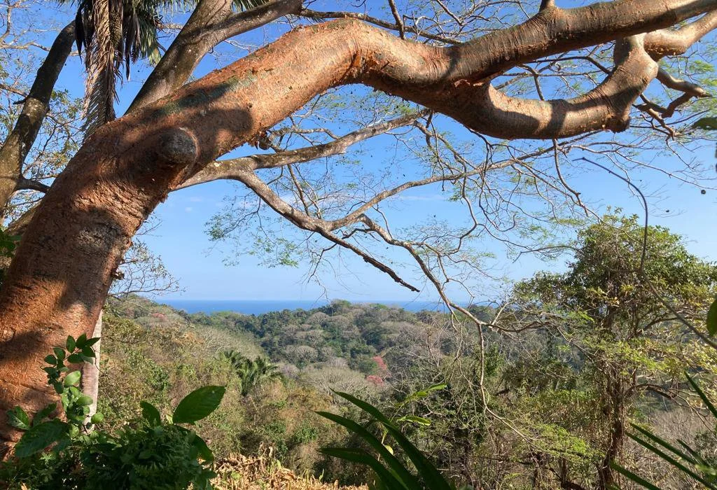Costa-Rica-Resort.jpg