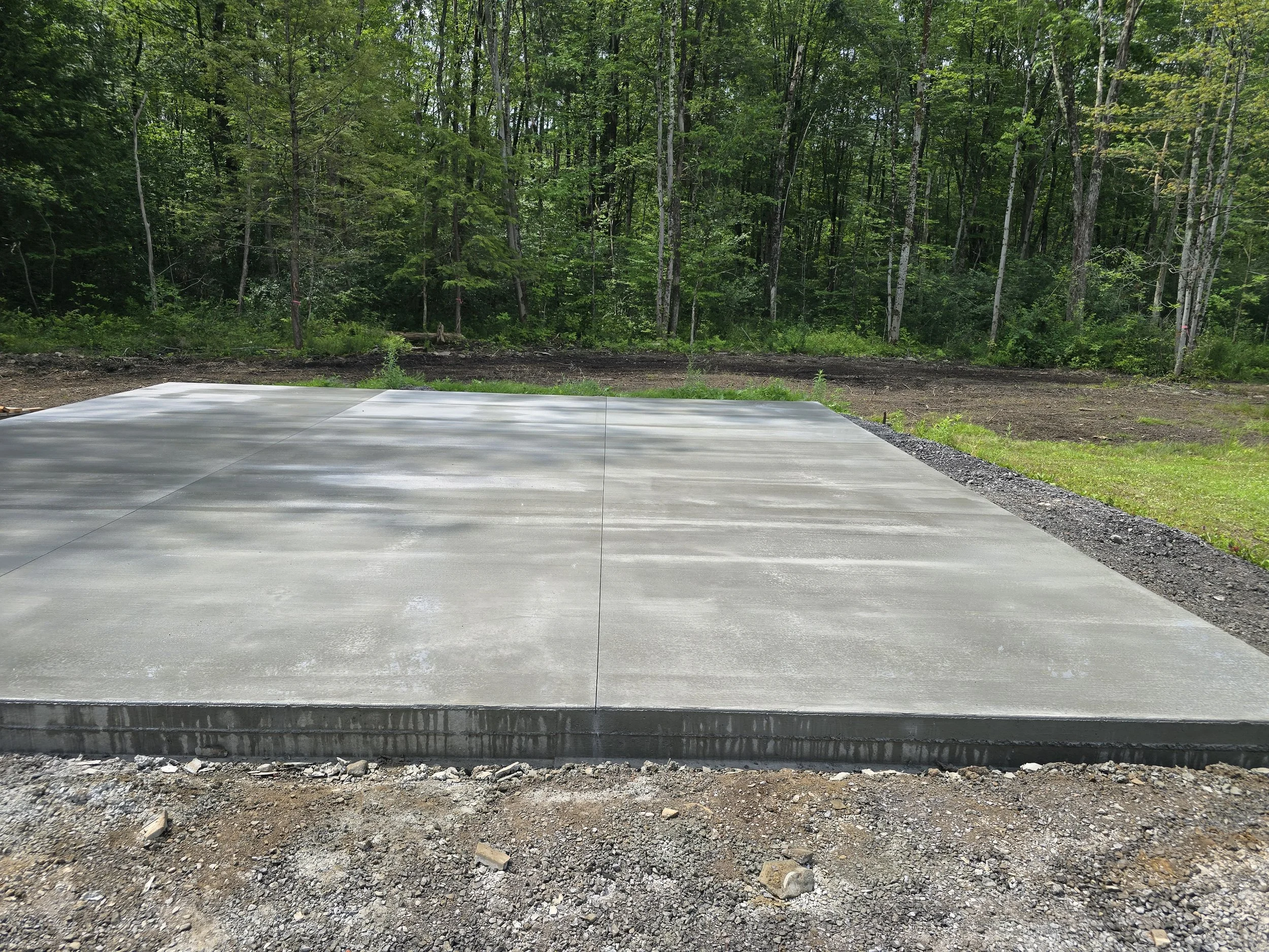 Concrete driveway or sidewalk in front of a wooded forest area with trees and green foliage.