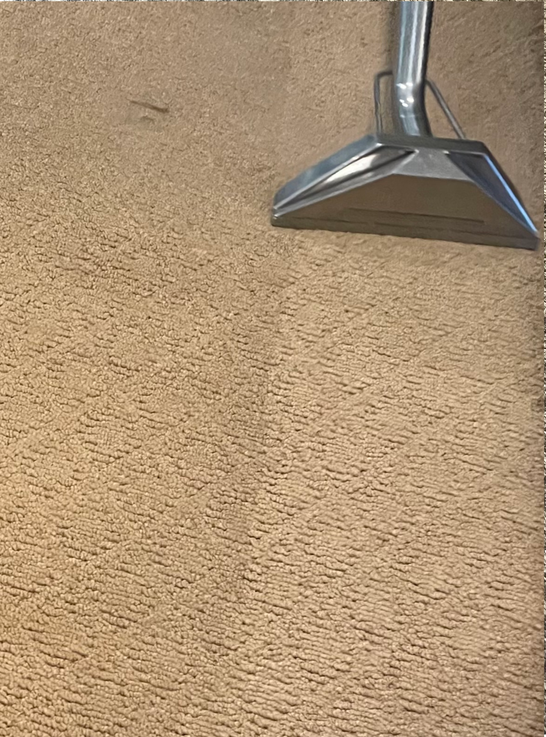 Refreshing old carpet using hot water extraction