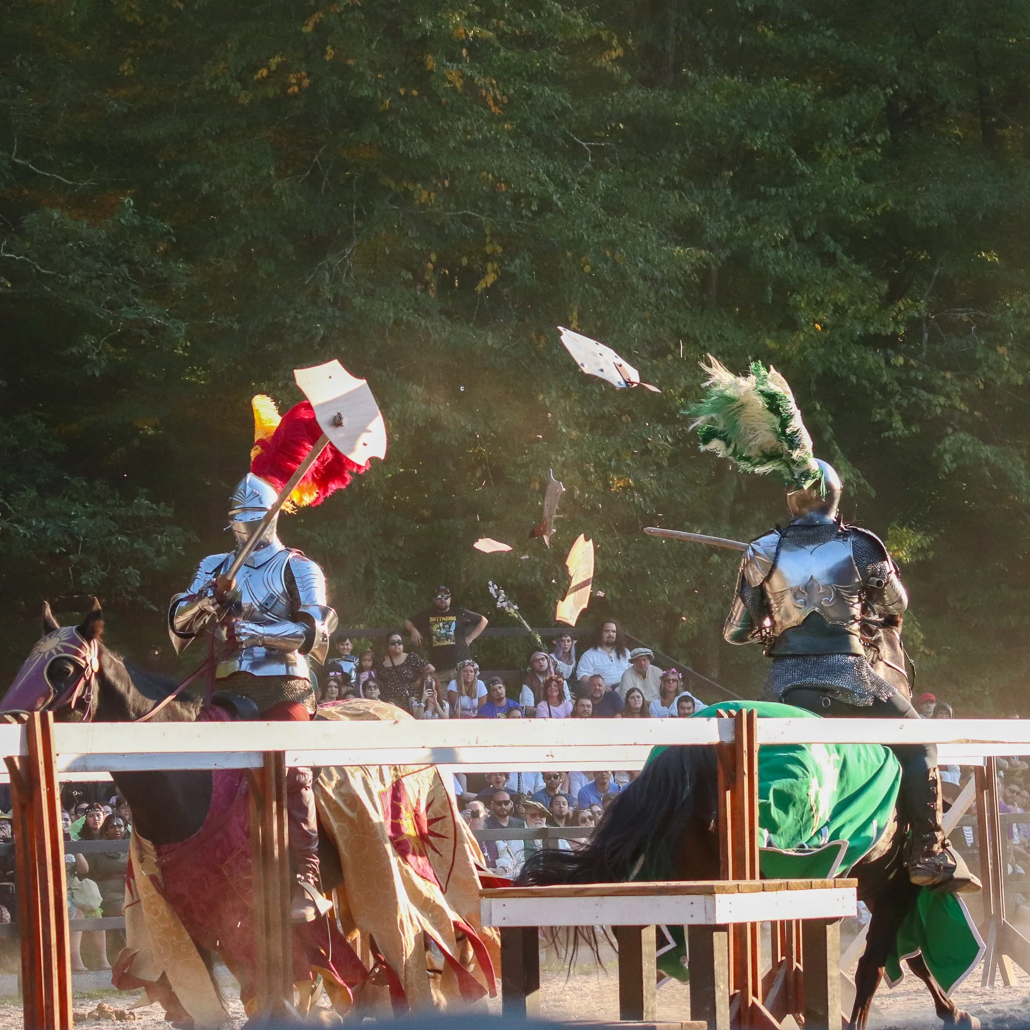 A medieval tournament scene with knights in shining armor on horseback, spectators watching behind a wooden fence, and flags visible in the background.