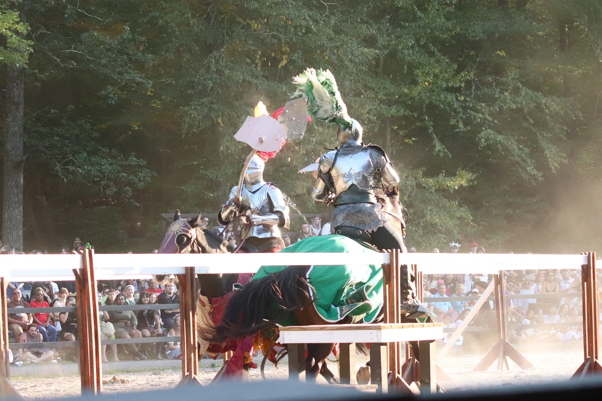A crowded outdoor event with a jousting tournament, featuring knights in armor on horses, and an audience in the background watching the spectacle.