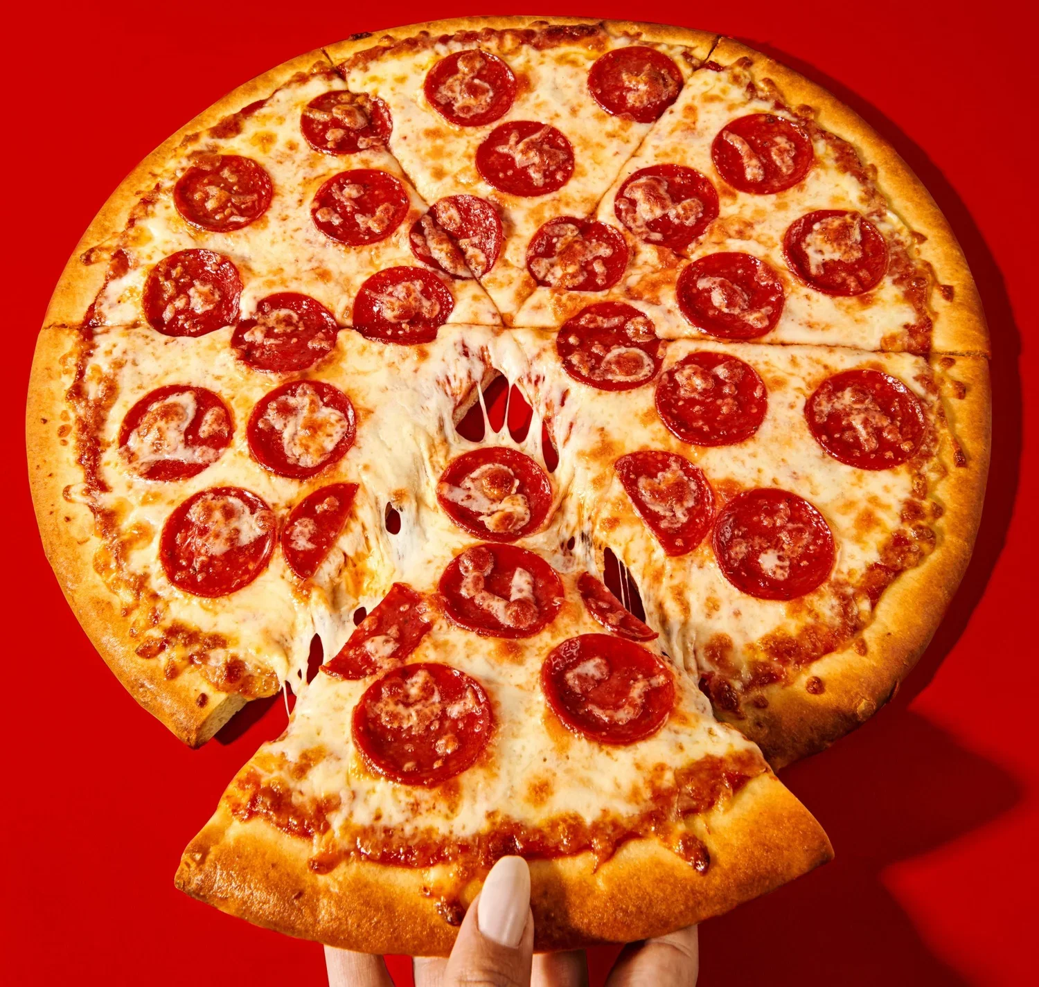 Large+Pizza_12795+1+copy_1.jpg.webp