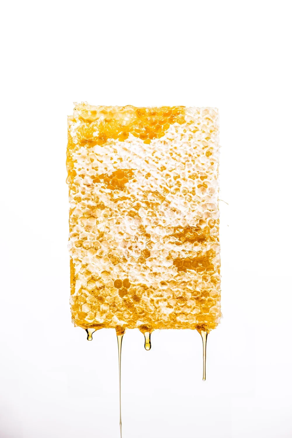 honey+drip.jpg.webp