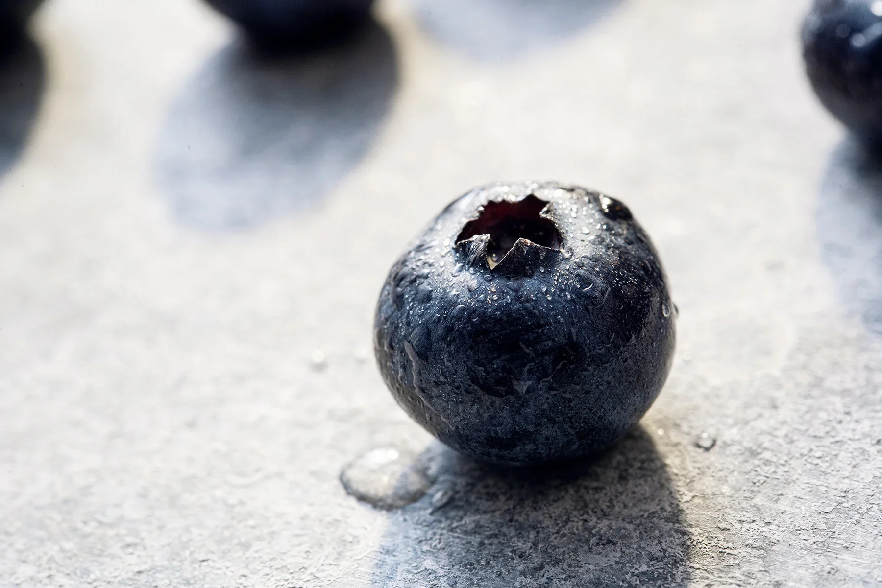 Berries-093-Edit.jpg.webp
