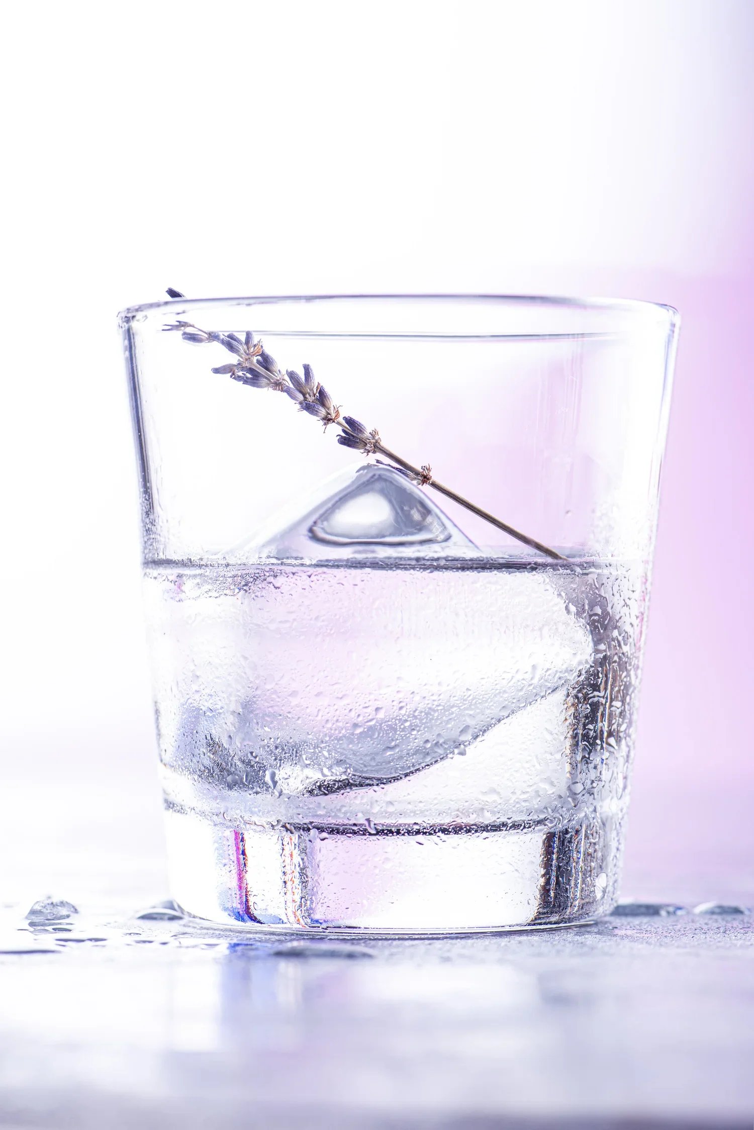Lemonade-067-Edit.jpg.webp