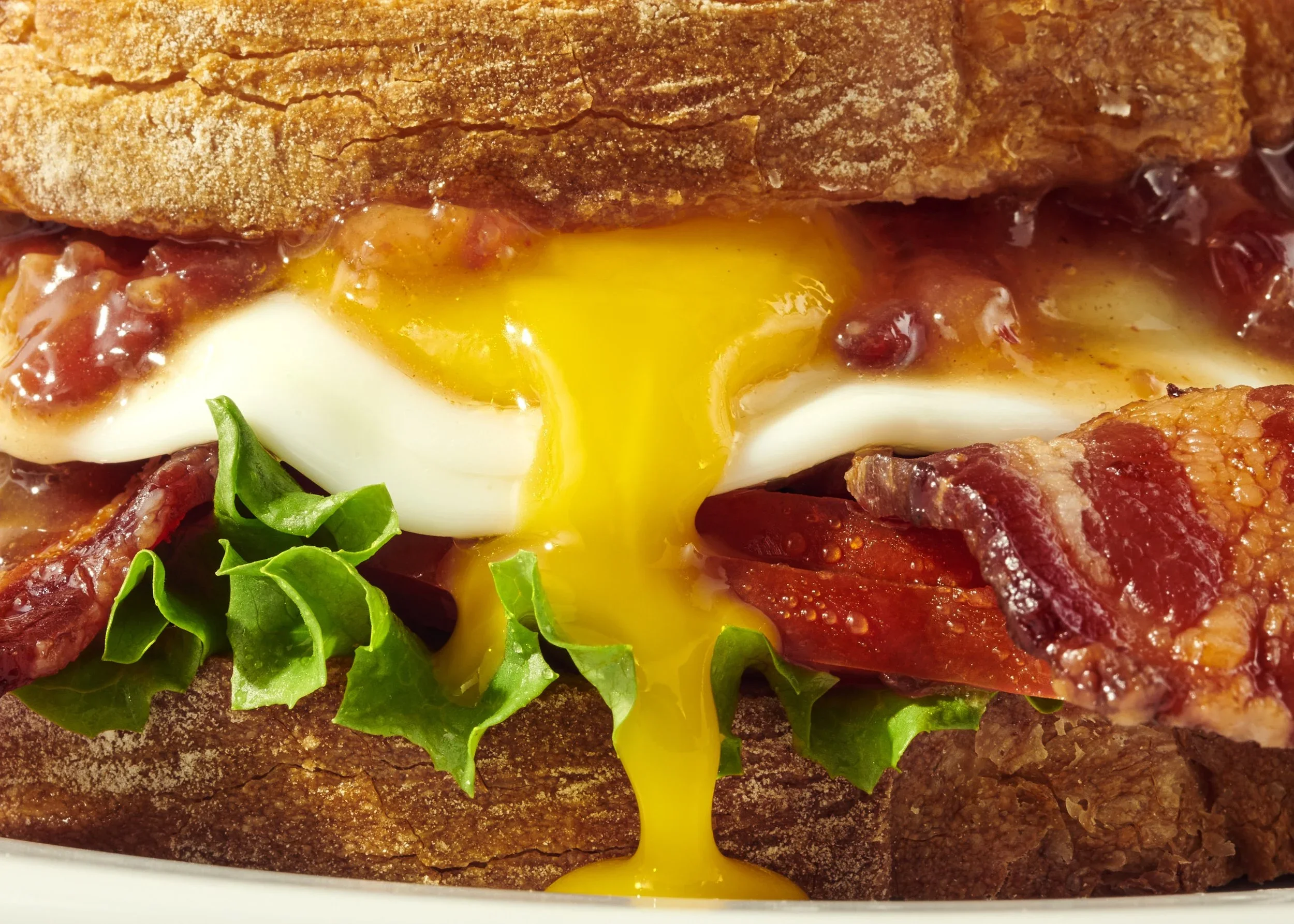 BLT&E.jpg.webp
