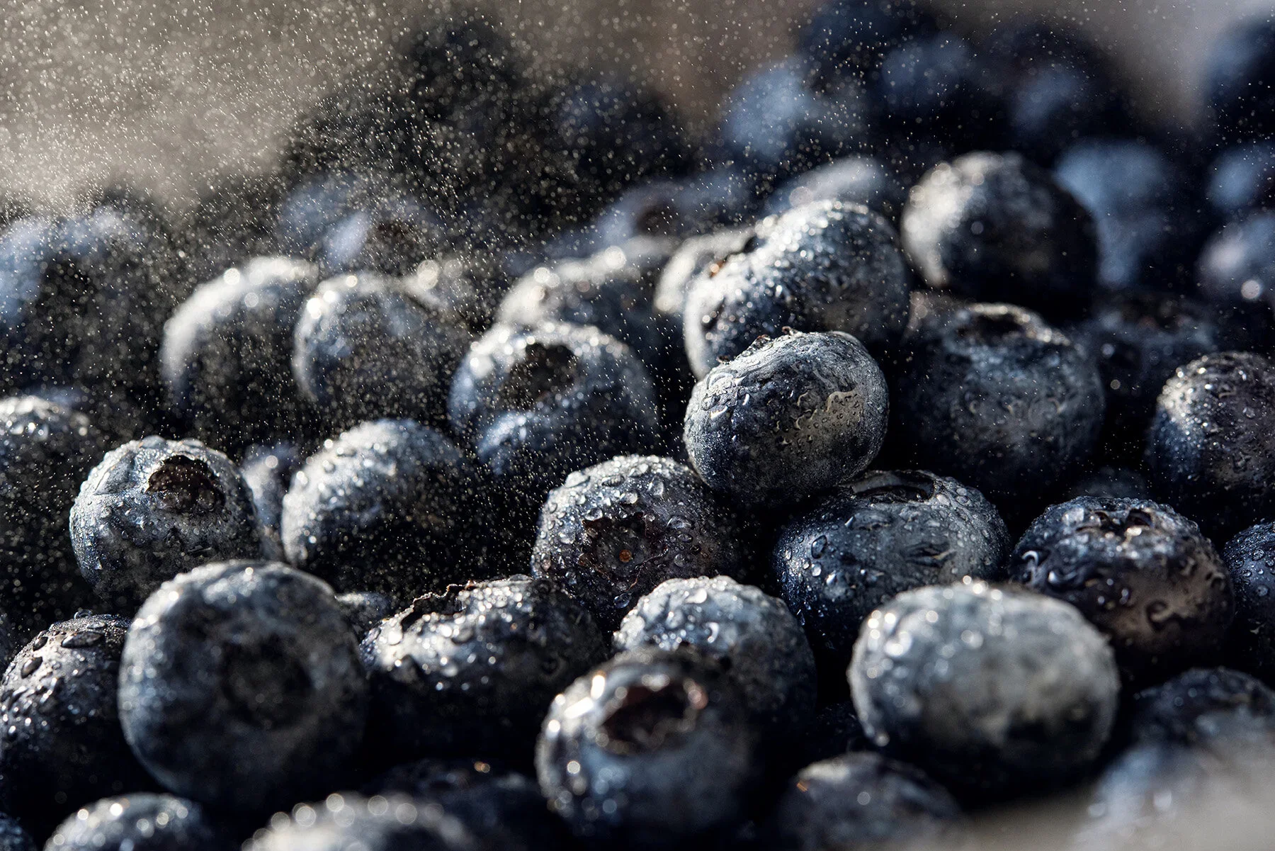 Berries-045-Edit.jpg.webp