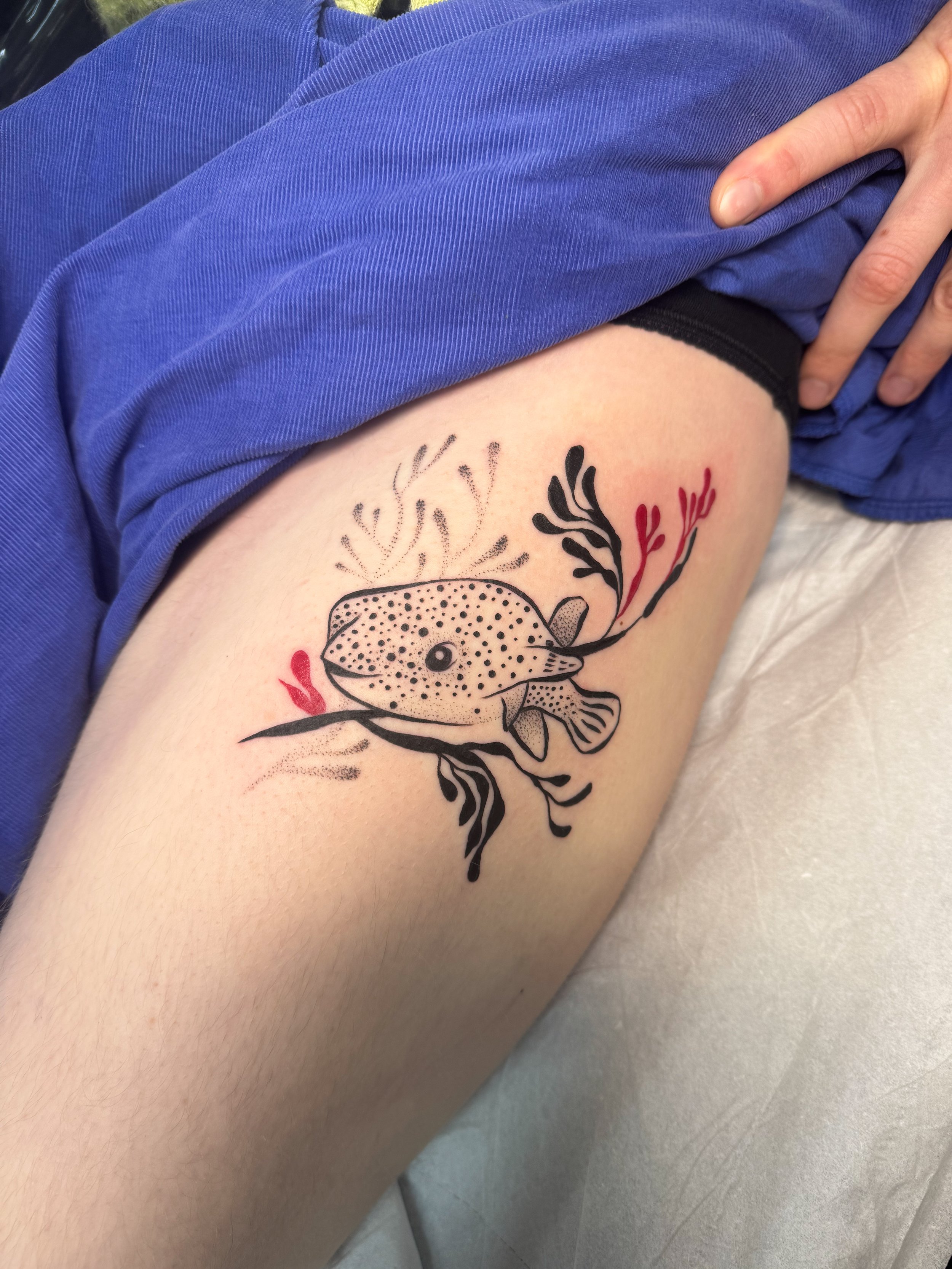 Klarna tattoo payment