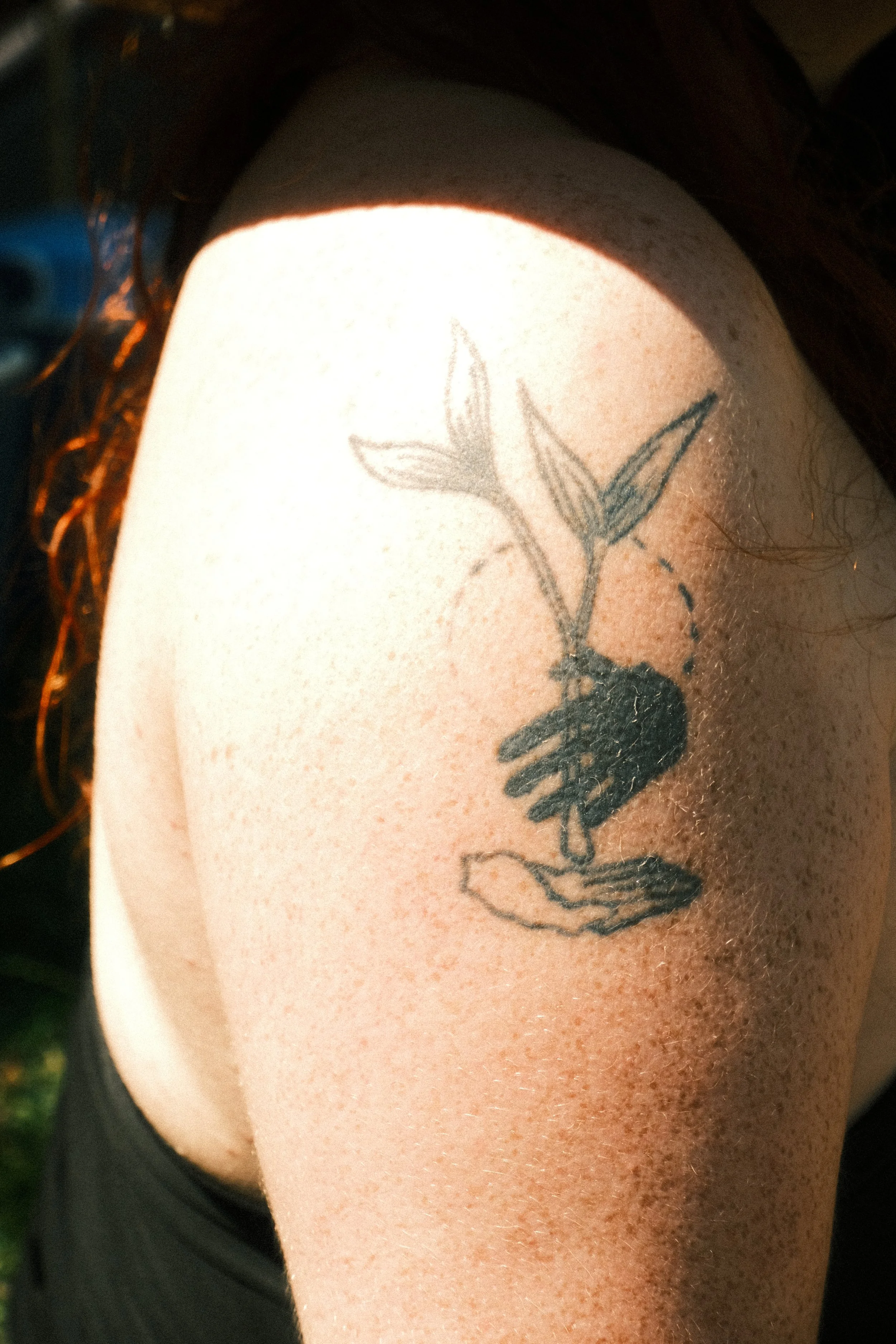 Tattoo of a bird with open wings and a hand, on person's upper arm.