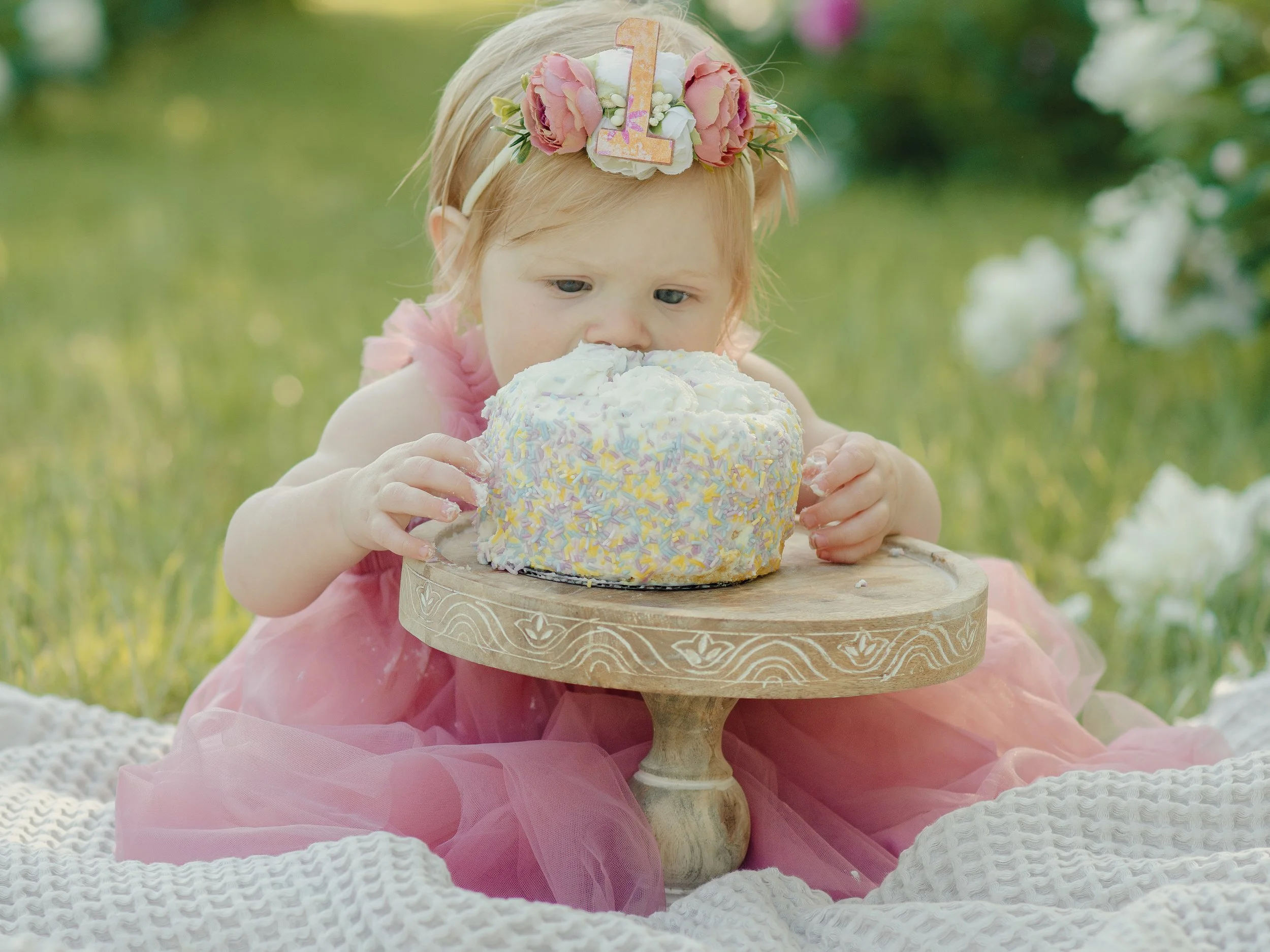 Knoxville milestone photographer capturing baby during cake smash with true to color tones