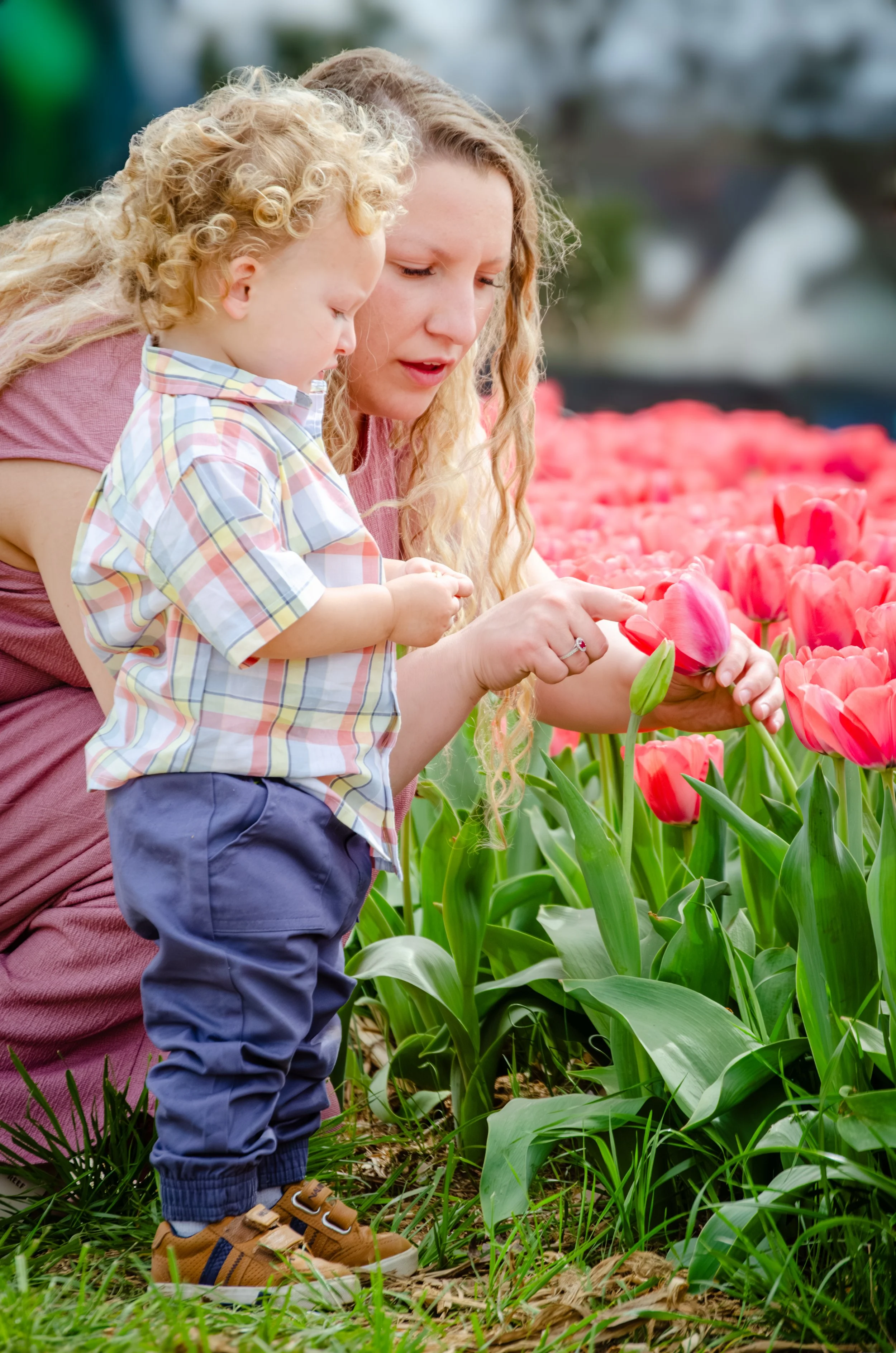 Knoxville family photographer capturing candid moments in natural light in a flower field