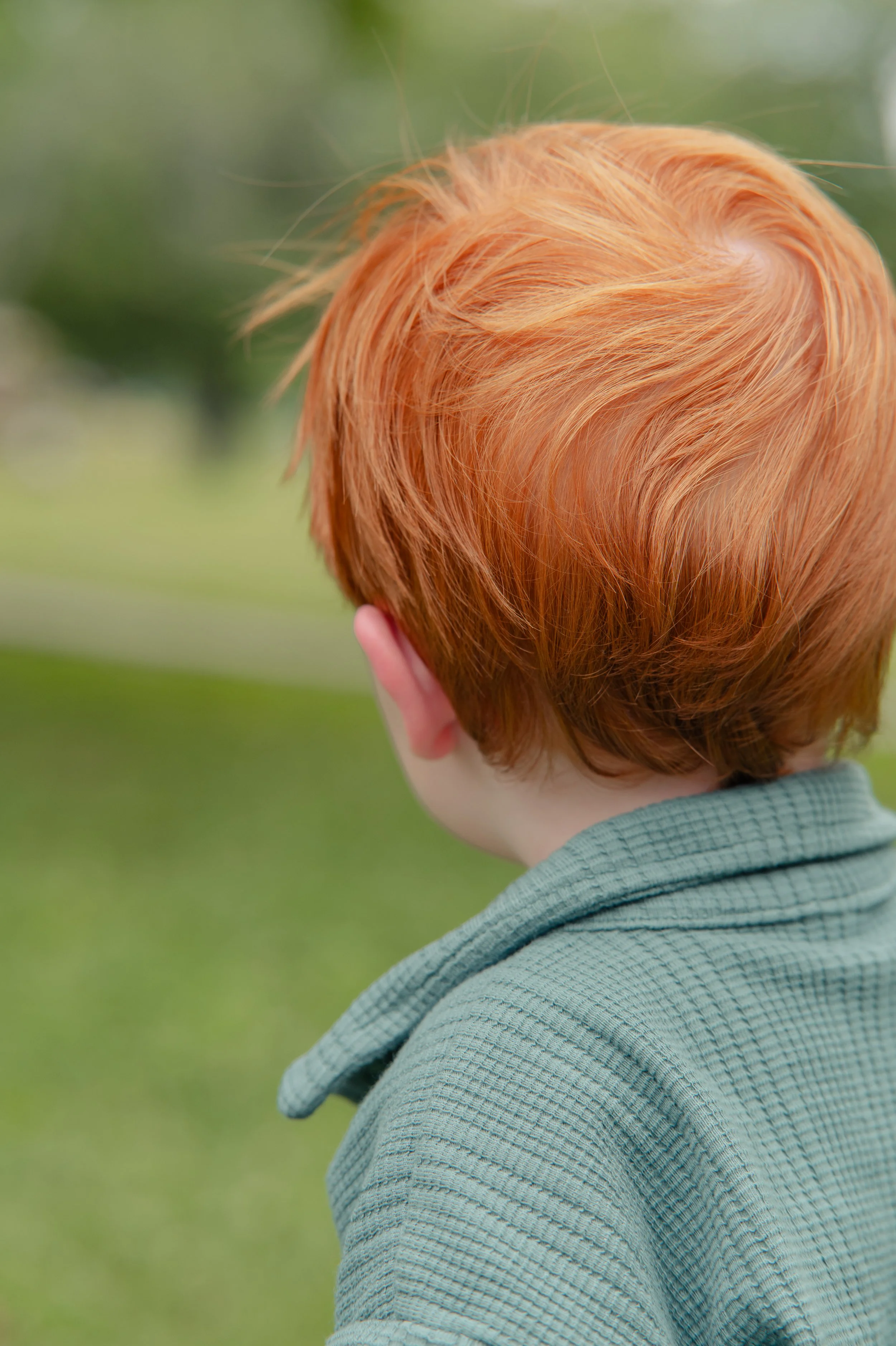 Back of a young person's head with bright red hair, wearing a light blue shirt, outdoors with blurred green background.