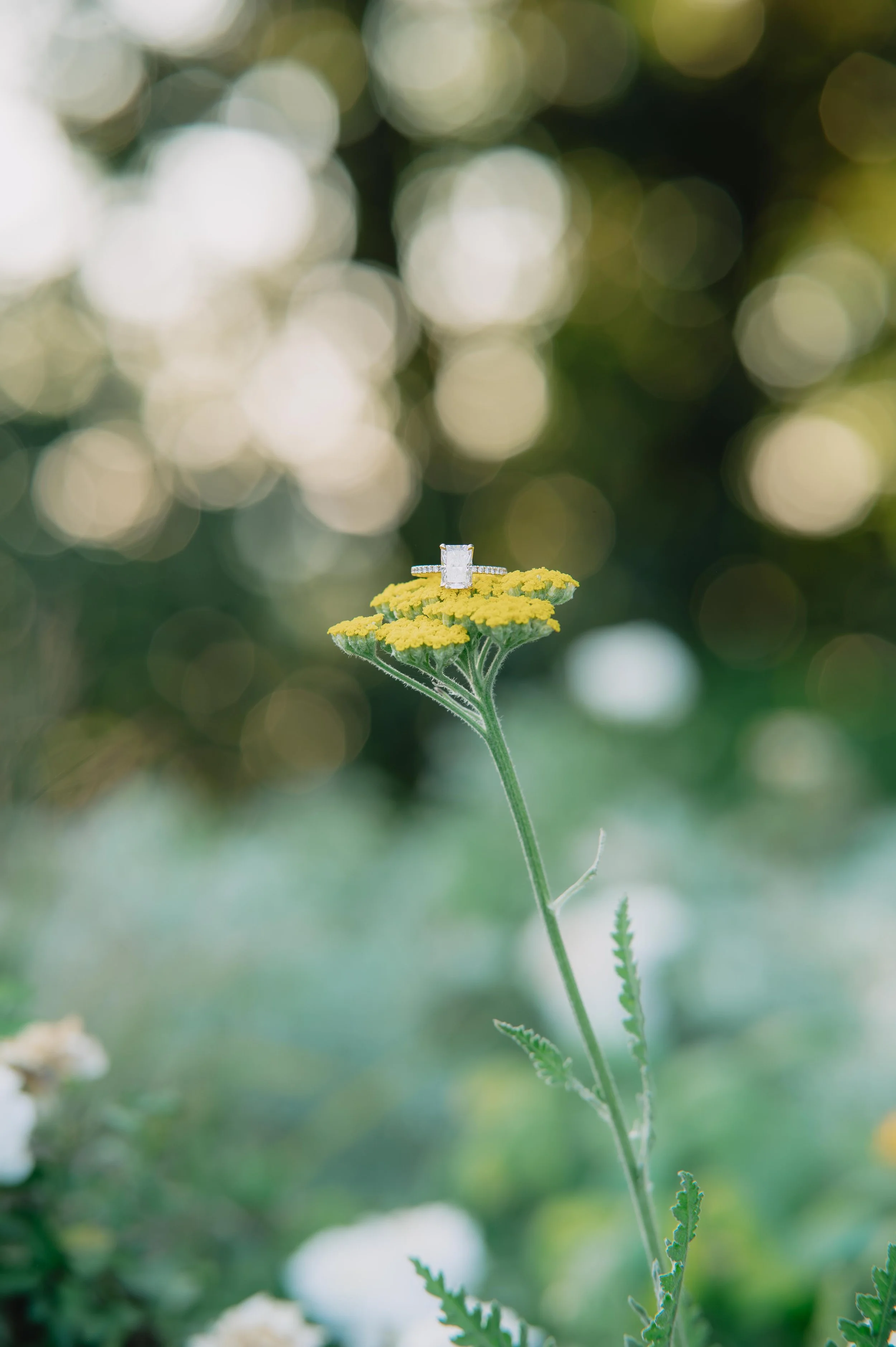 Do I Need an Engagement Session Before My Wedding?