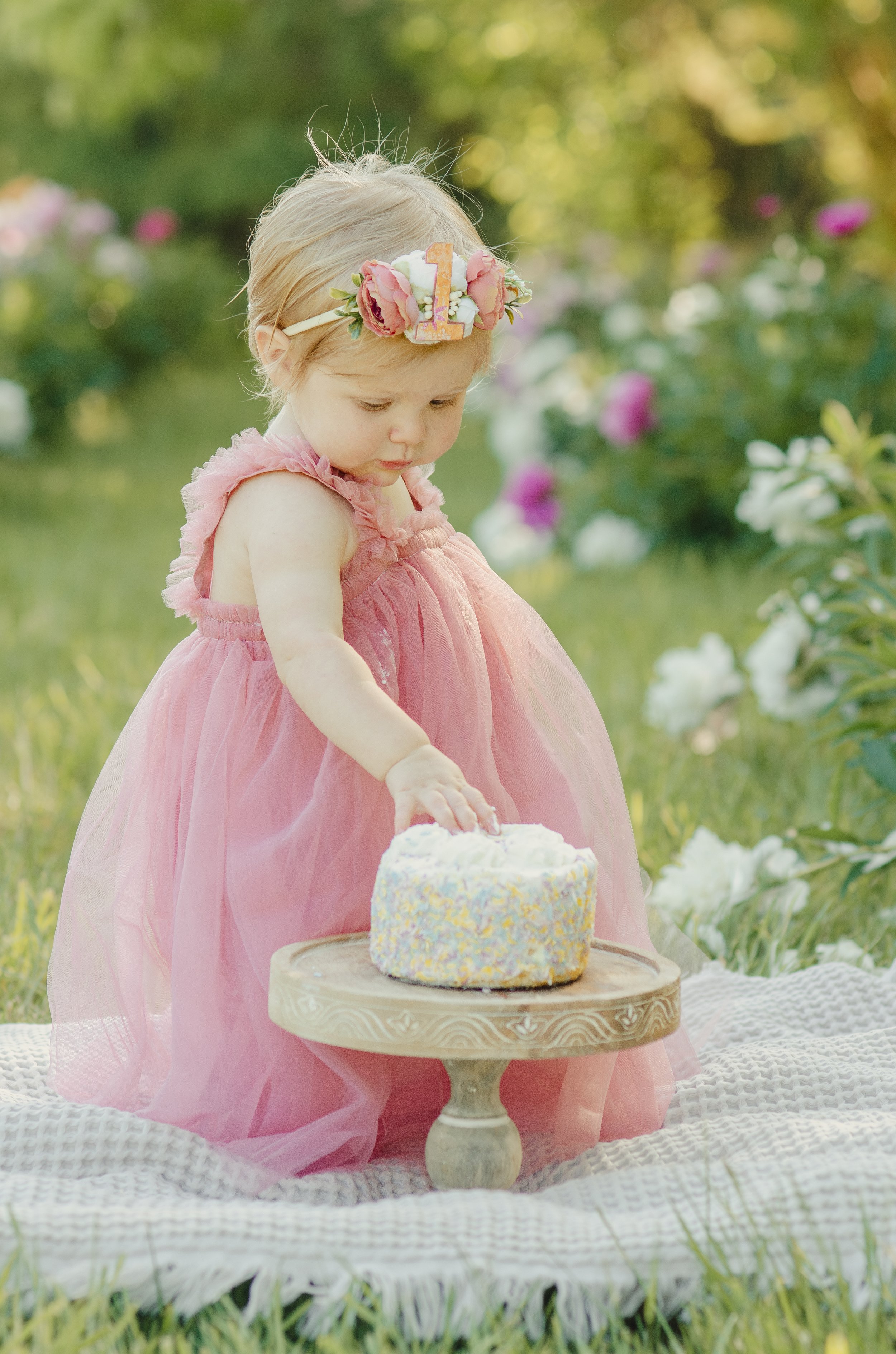 Knoxville milestone photographer capturing first birthday cake smash in outdoor setting