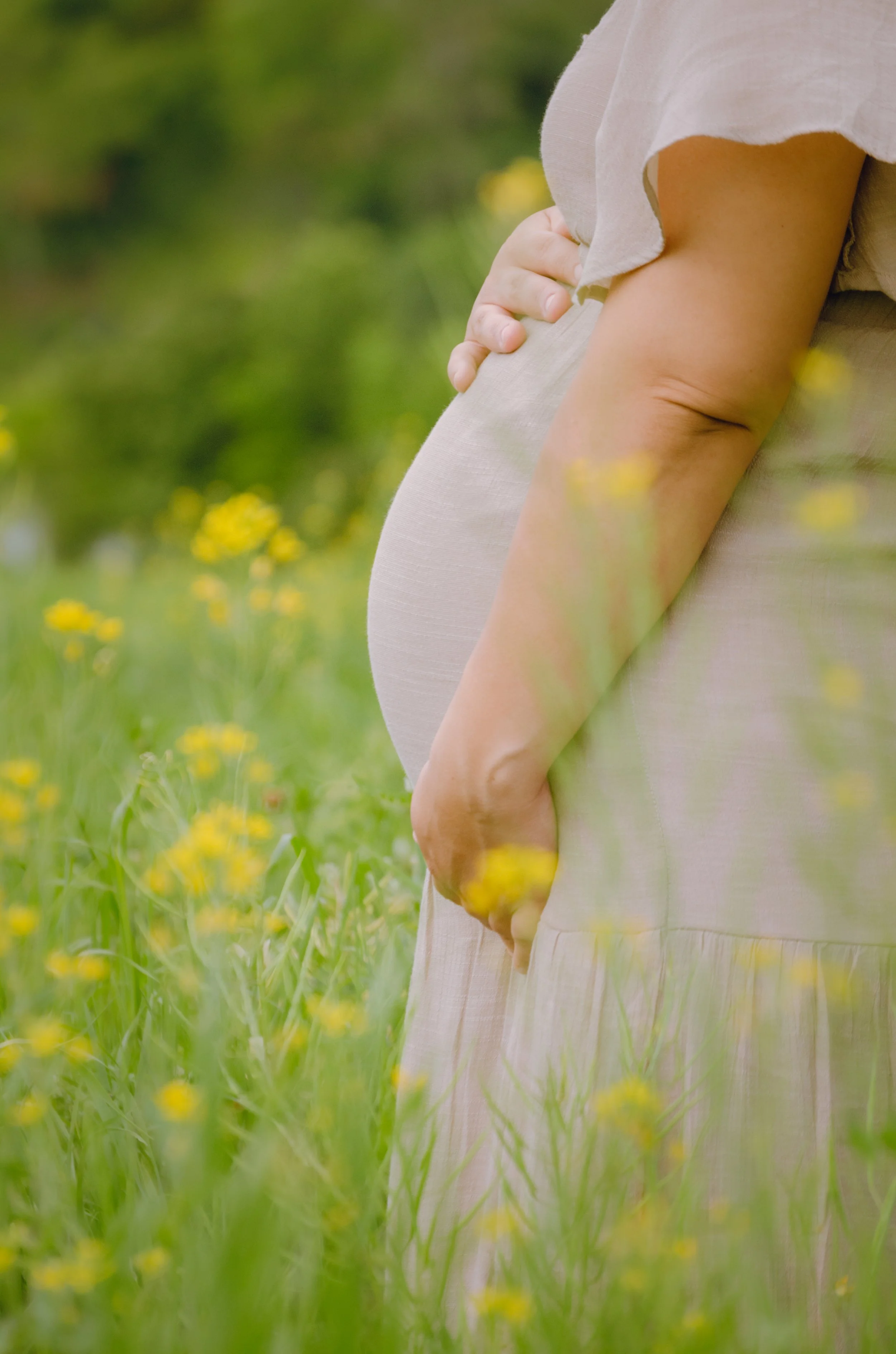 Close-up of a pregnant woman standing outdoors in a field of green grass and yellow flowers, gently holding her belly.