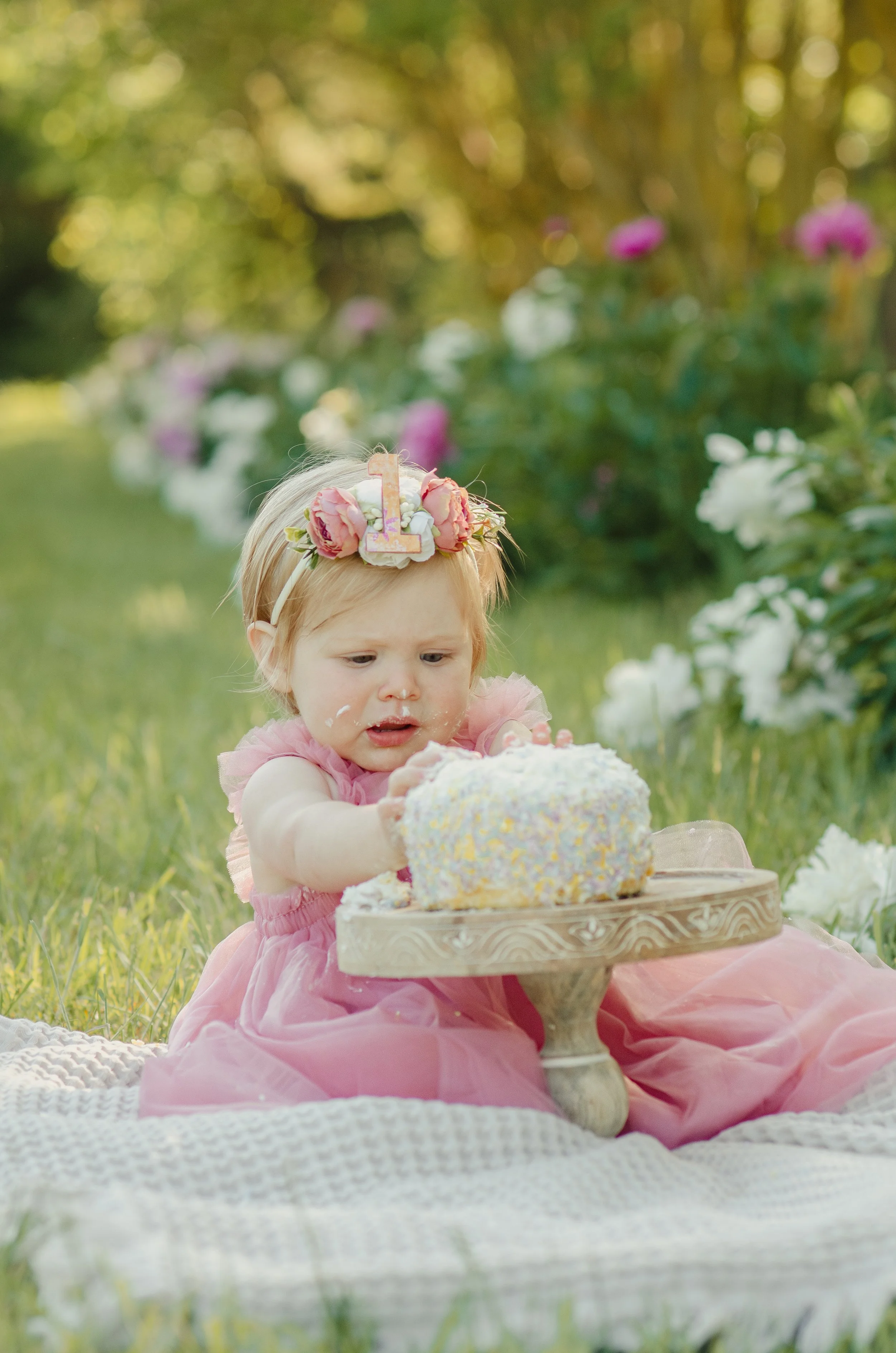 Baby milestone session in Knoxville, cake smash photo session