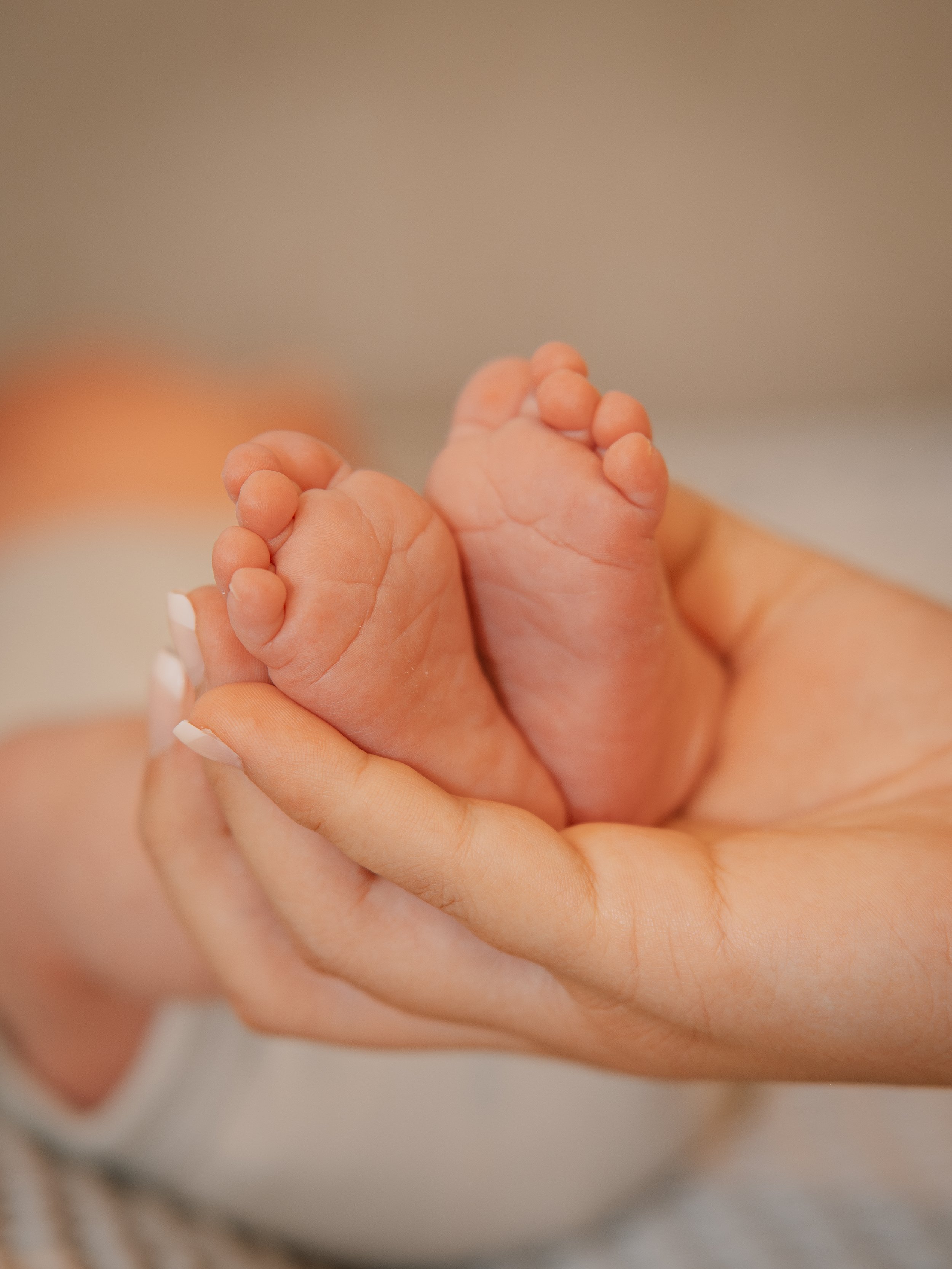 Close-up of a parent's hand gently cradling the tiny feet of an infant during a newborn photo session in Maryville Tennessee