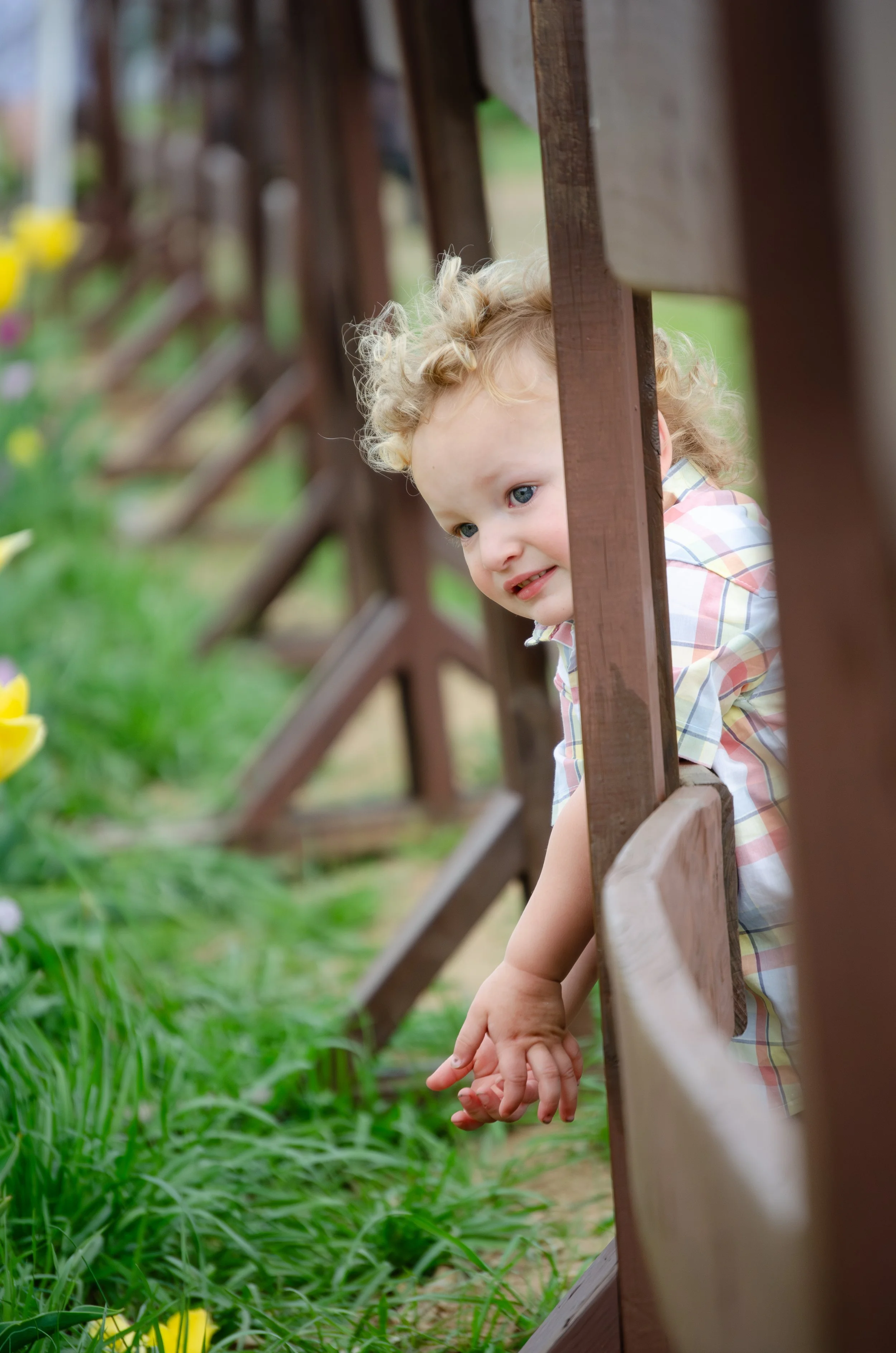 Knoxville family session with playful and active kids and toddlers