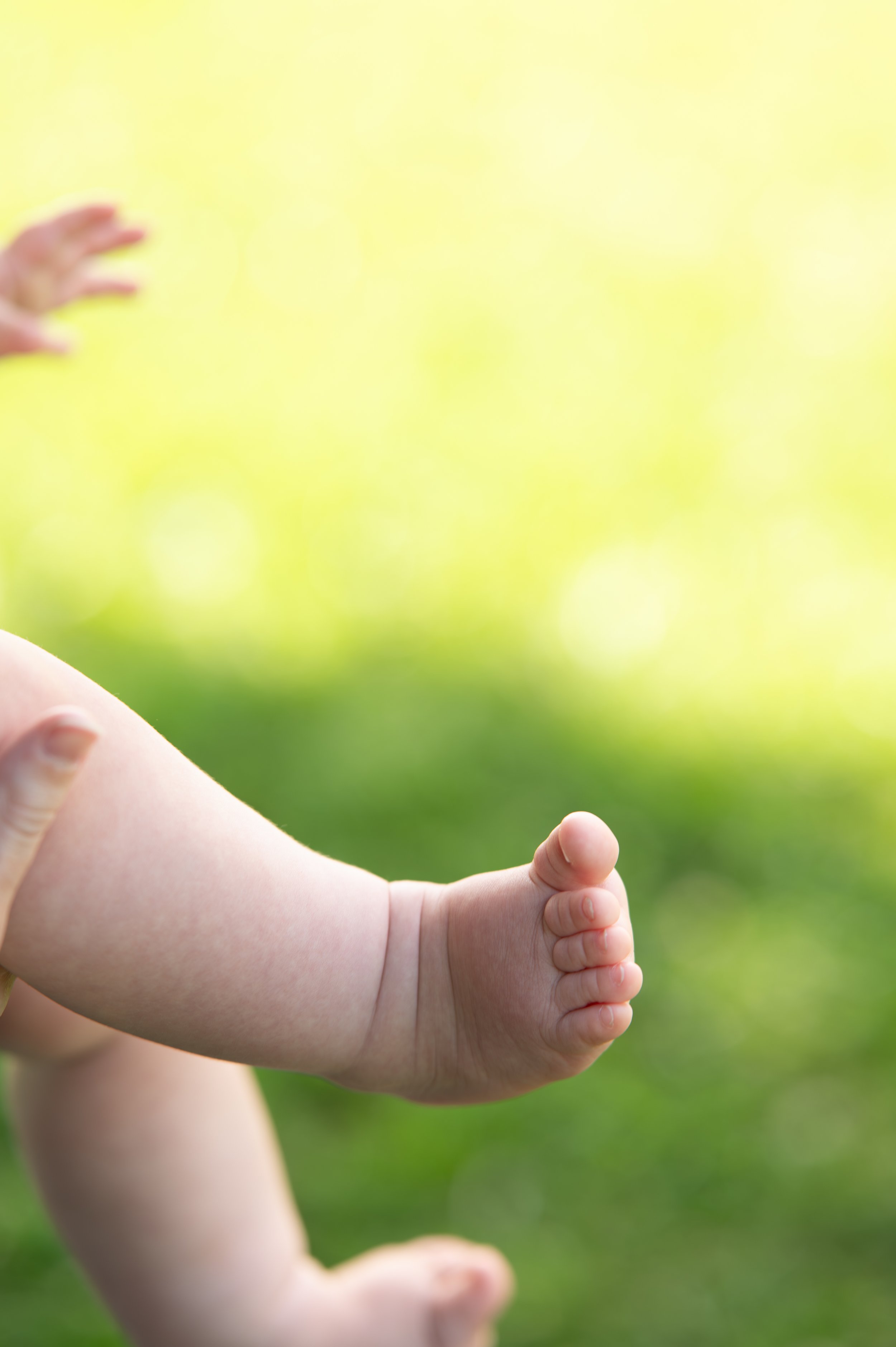 Relaxed family portraits with young children and newborn baby outdoors